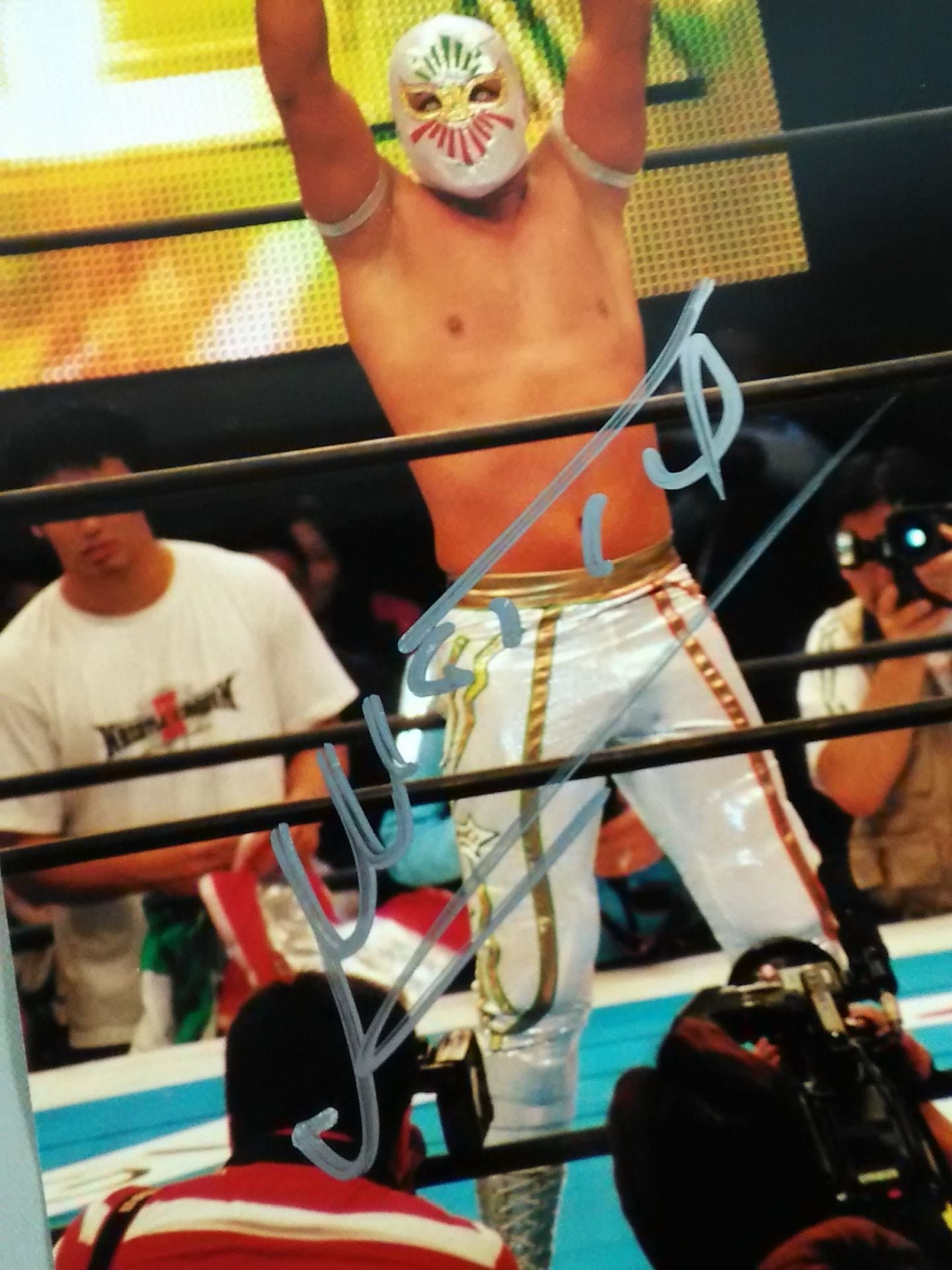 ミスティコ 直筆サイン入りポートレート⑲