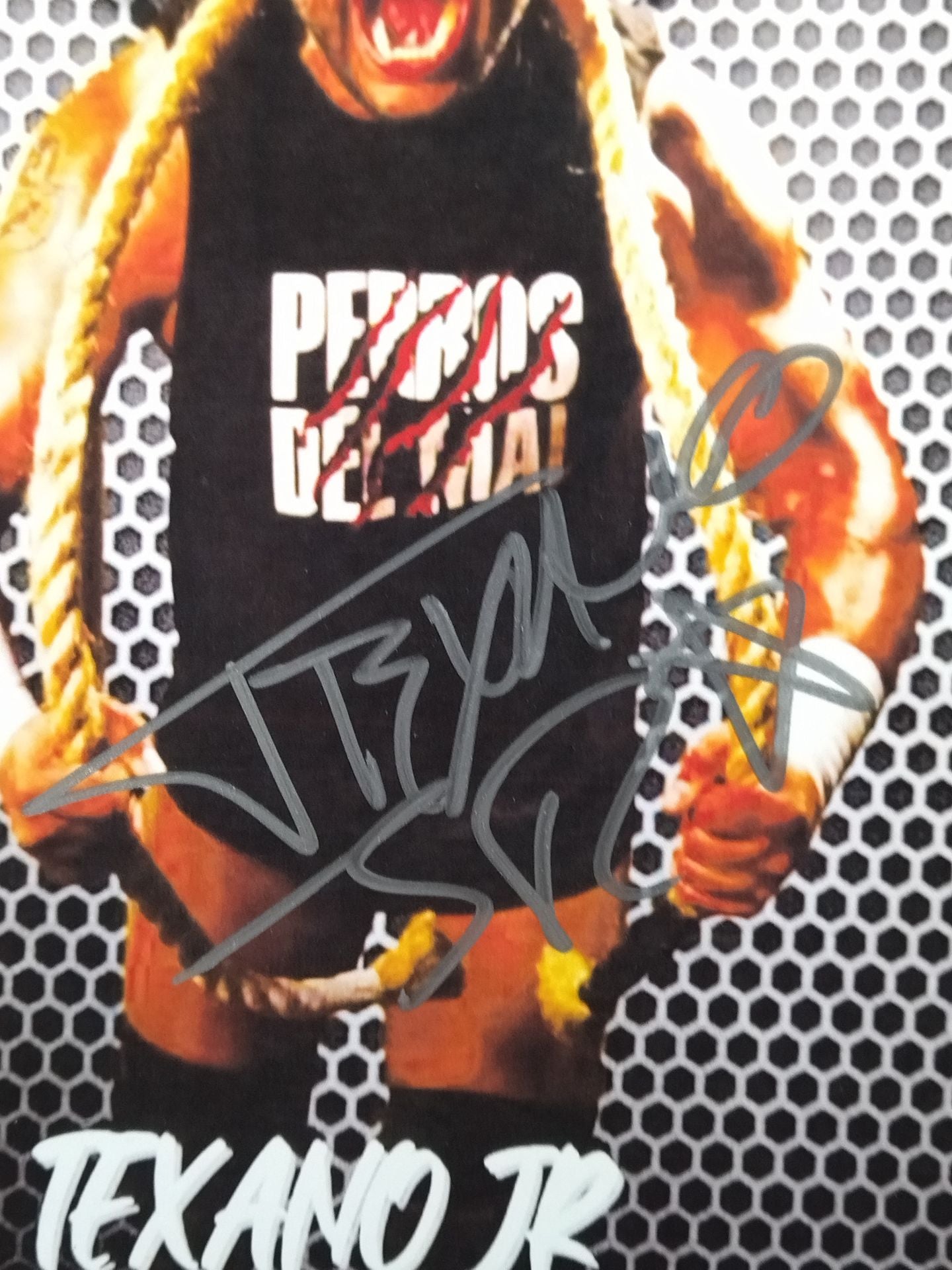 テハノJr. 直筆サイン入りポートレート