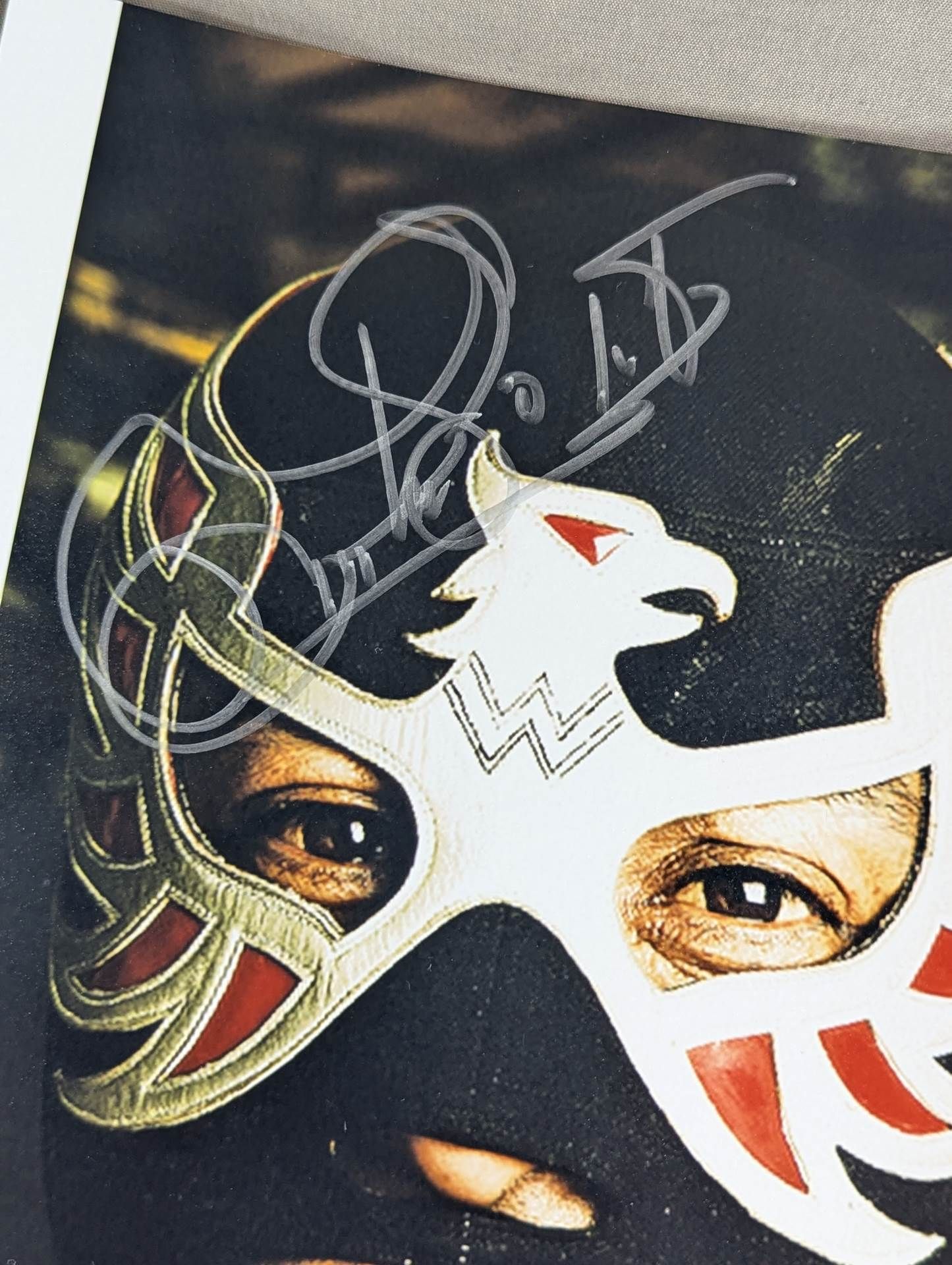 Aguila Solitaria hand signed autograph LargeFormat photo (A-1)