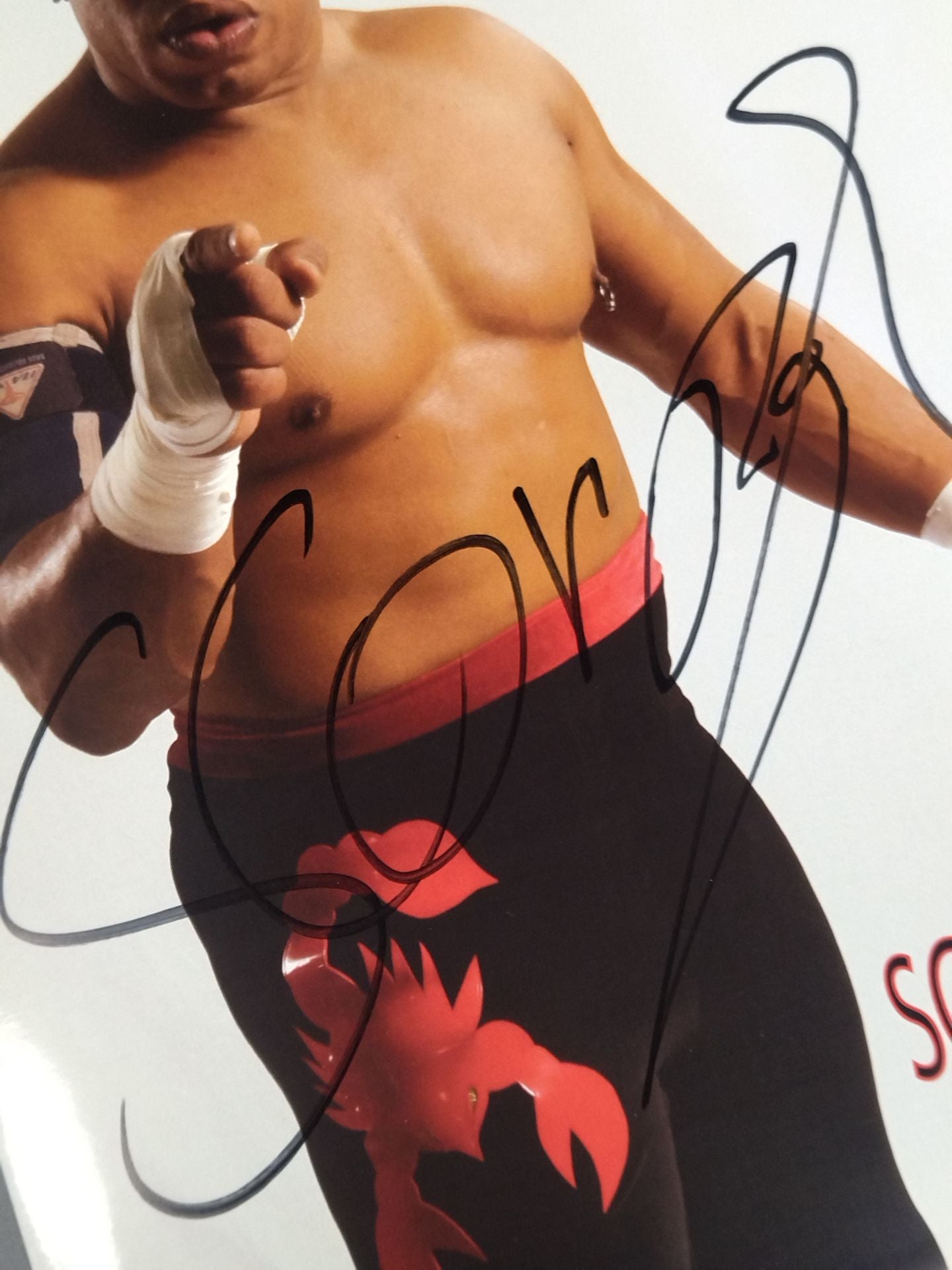 スコーピオ 直筆サイン入り ポートレート(A)