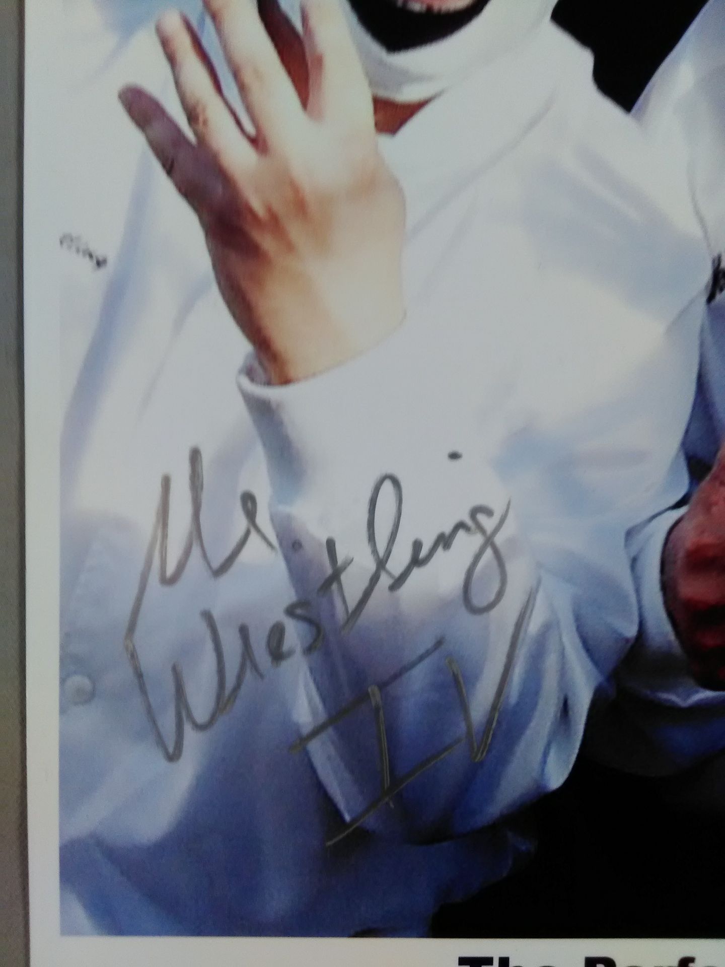 ザ・パーフェクト・テン 直筆サイン入り ポートレート①