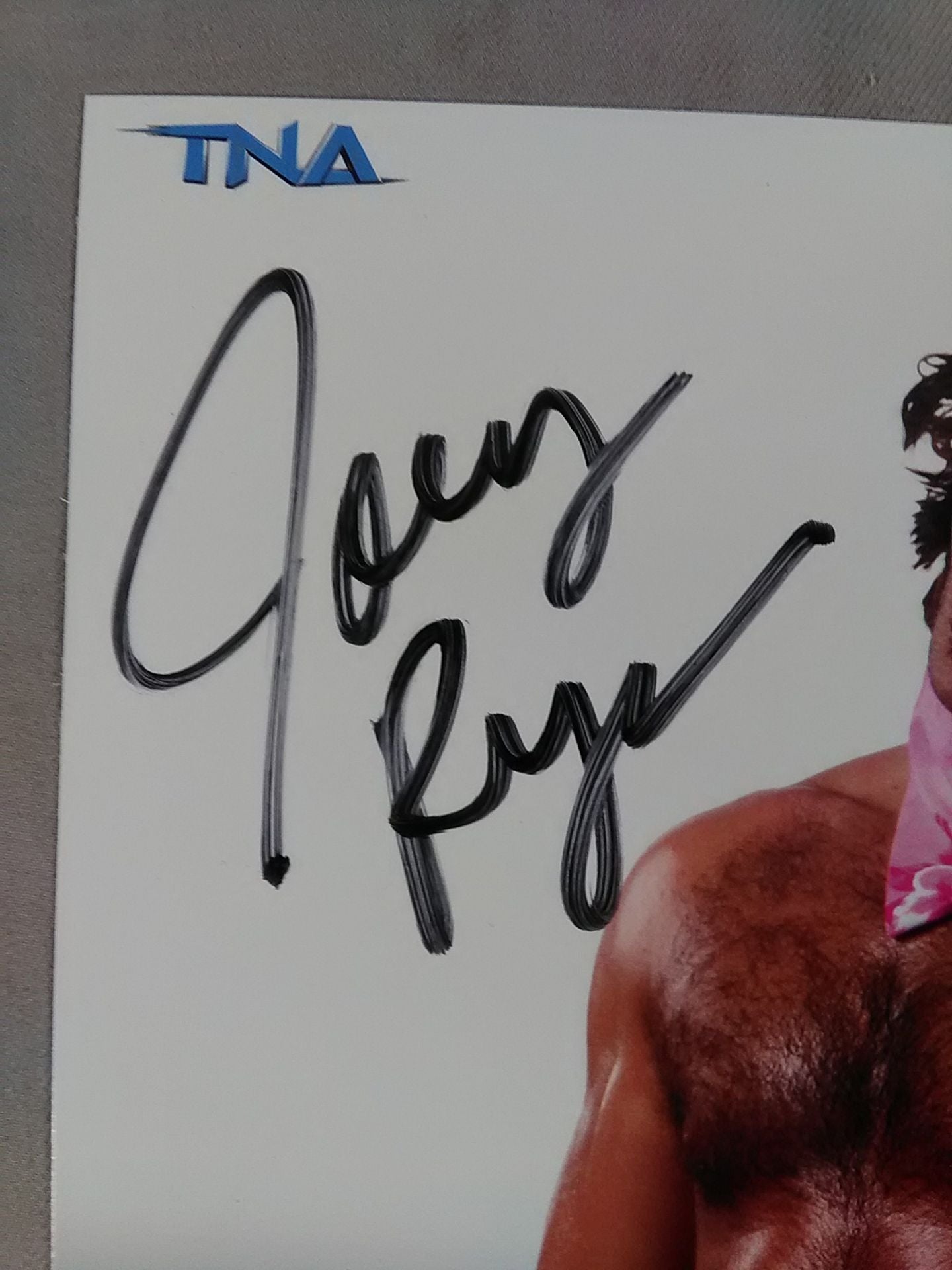 ジョーイ・ライアン 直筆サイン入り ポートレート②