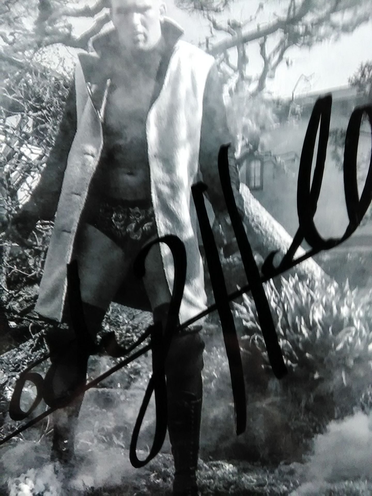 コーディ・ホール 直筆サイン入りポートレート⑨