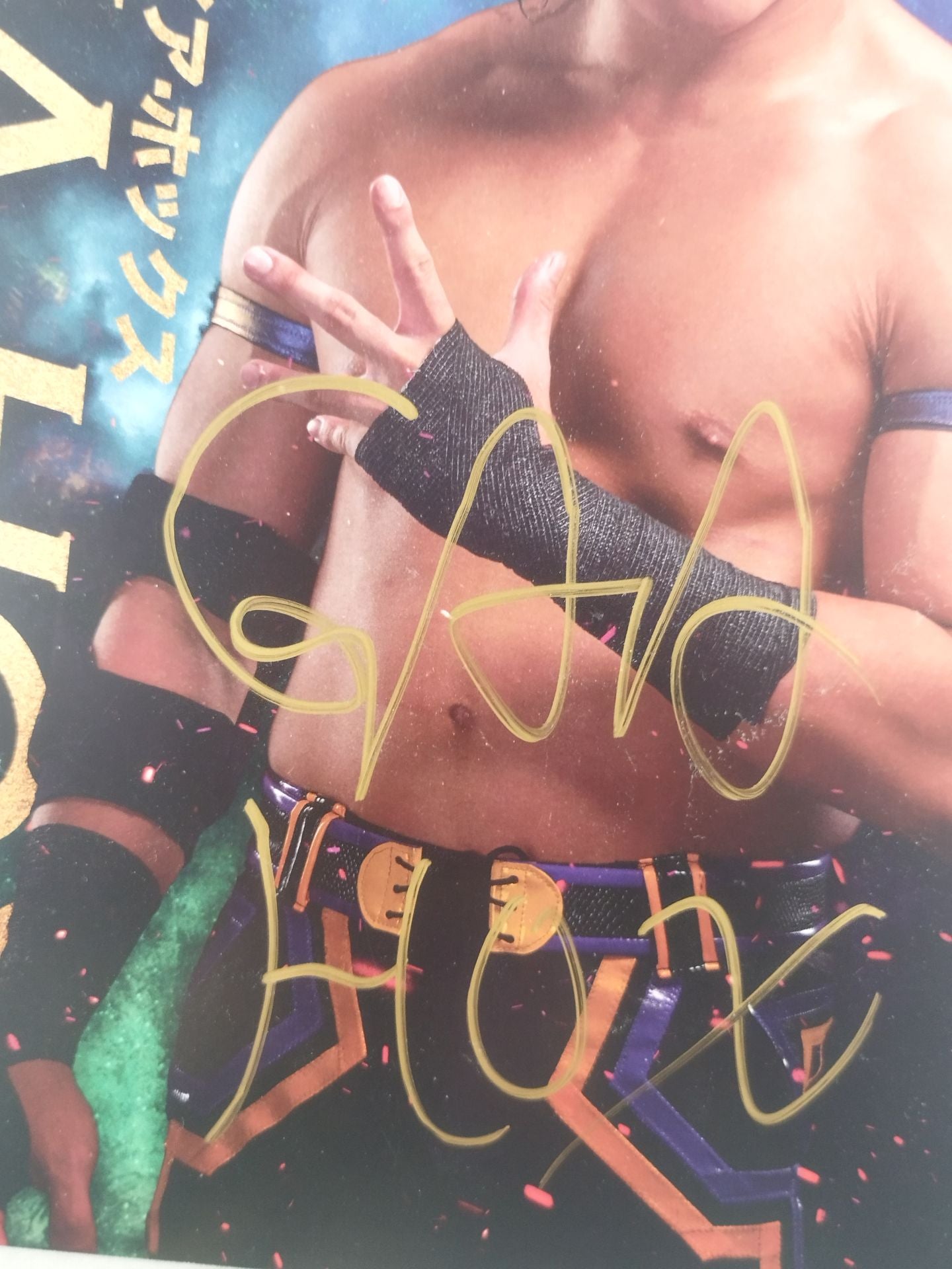 ガイア・ホックス 直筆サイン入りポートレート(A-1)