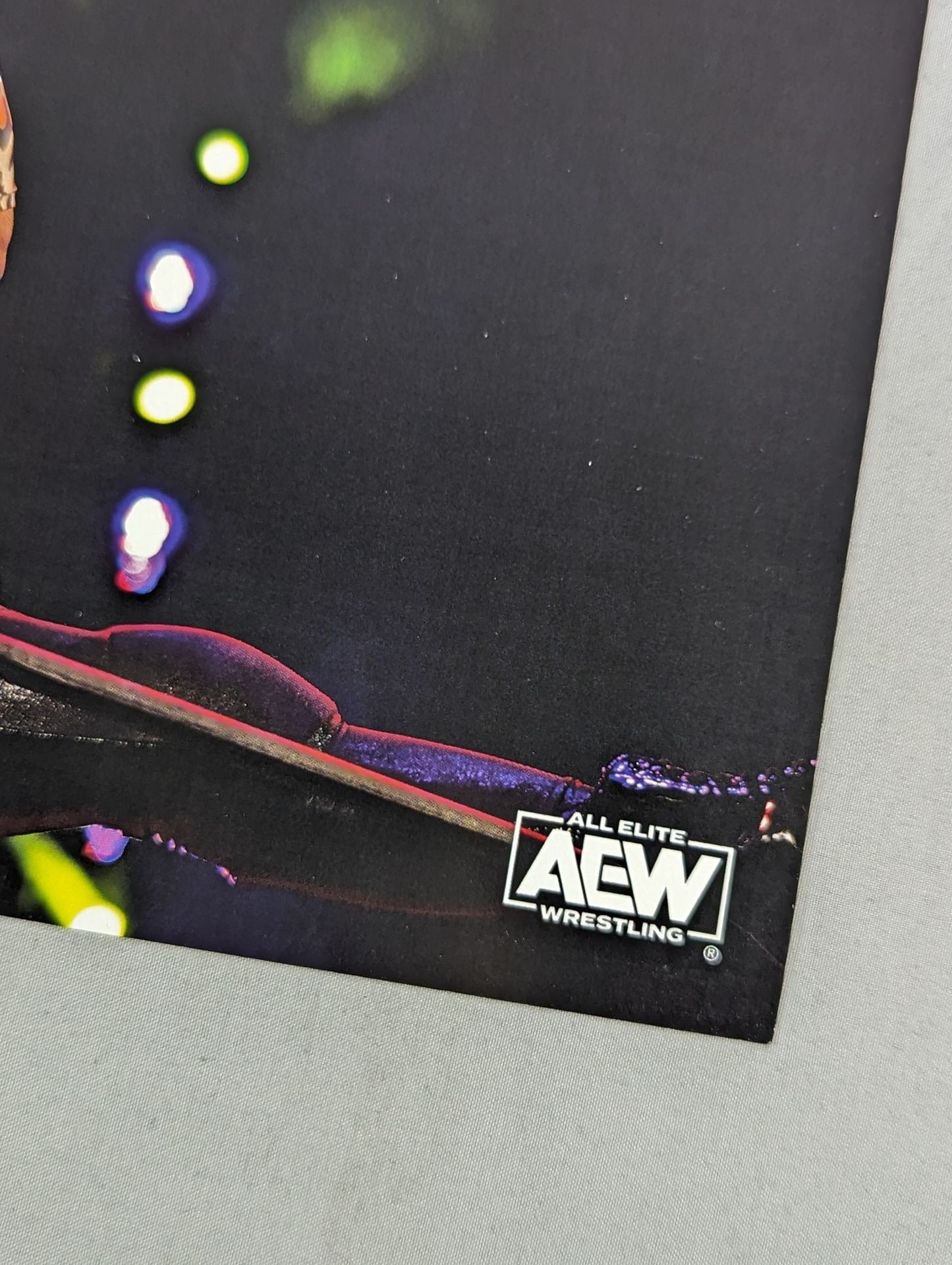 ★AEW★ サニー・キス 直筆サイン入り ポートレート(A-1)