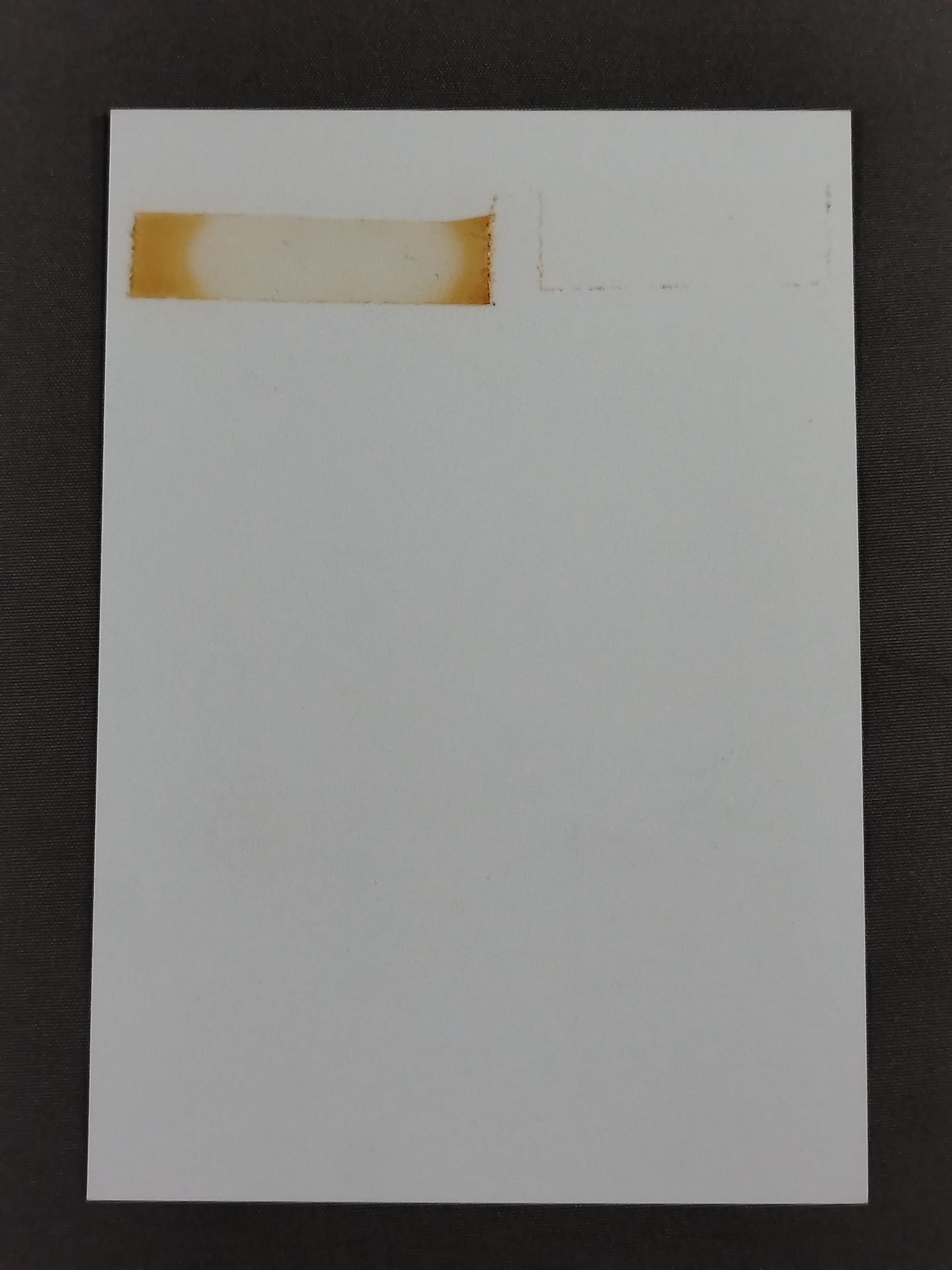 コナン 白黒写真(A-1)