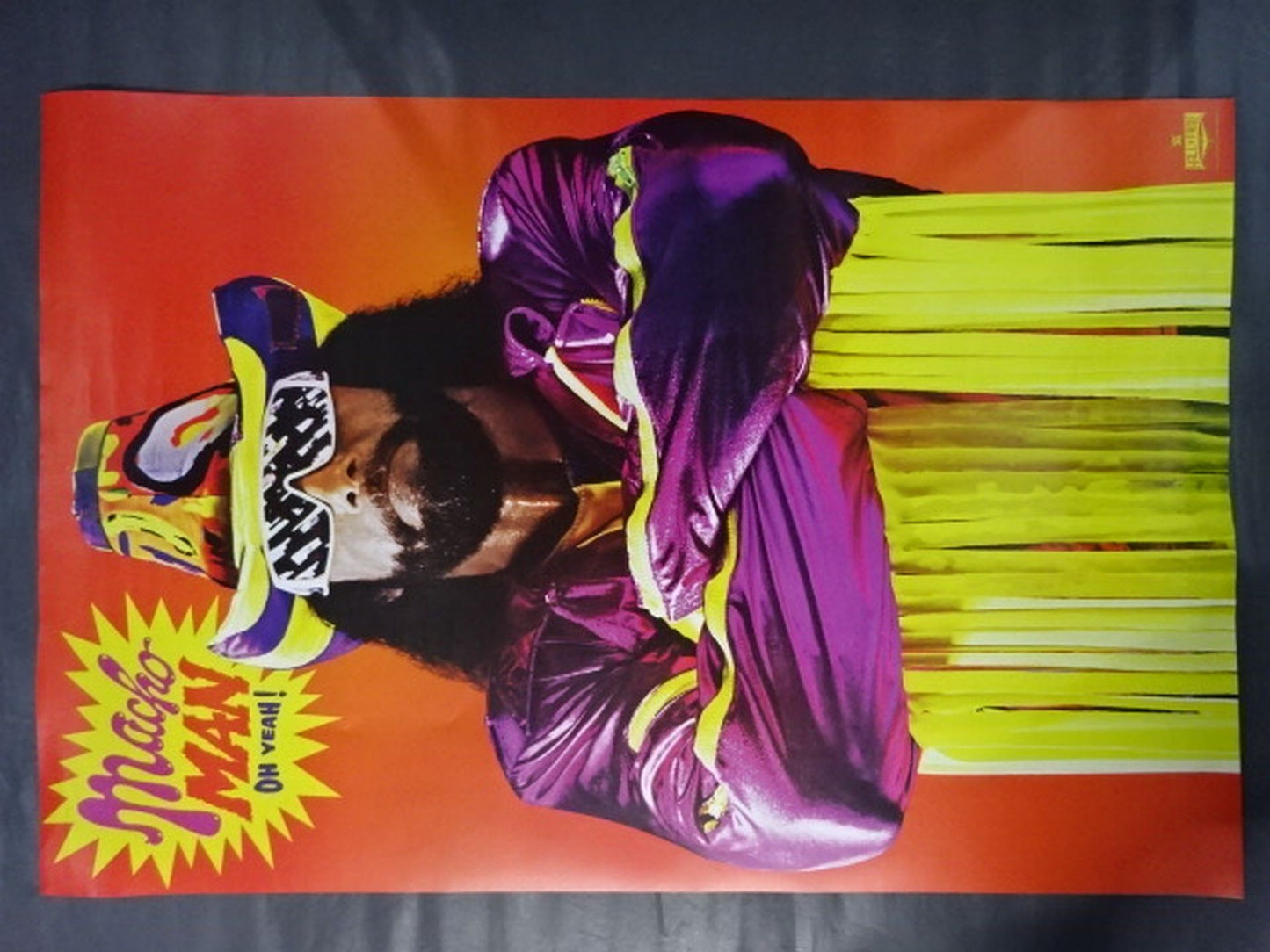 ★HALL OF FAME 2015★ ランディ・サベージ ポスター