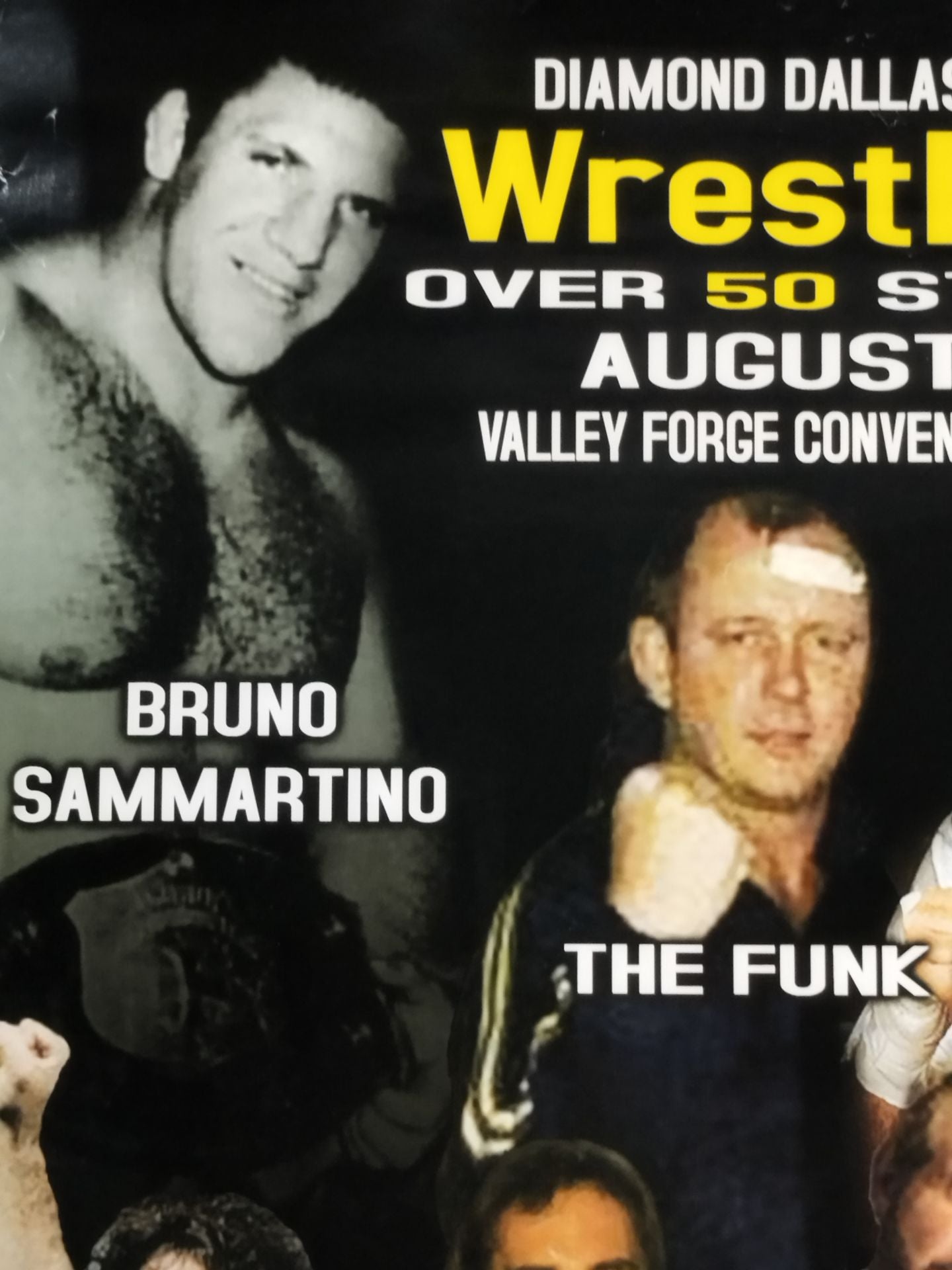Wrestle Reunion 2