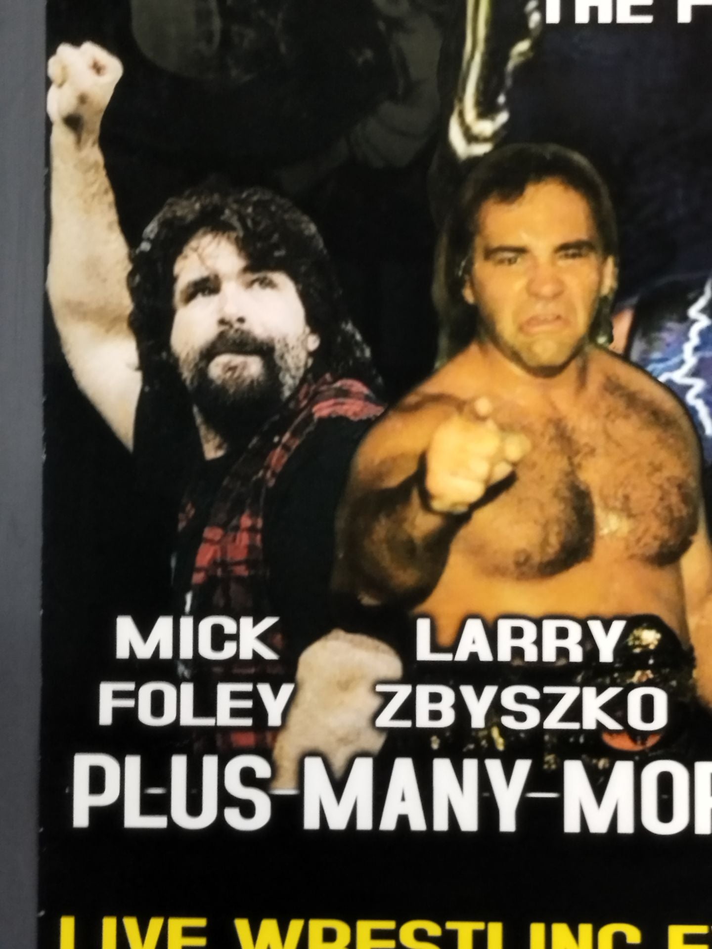 Wrestle Reunion 2