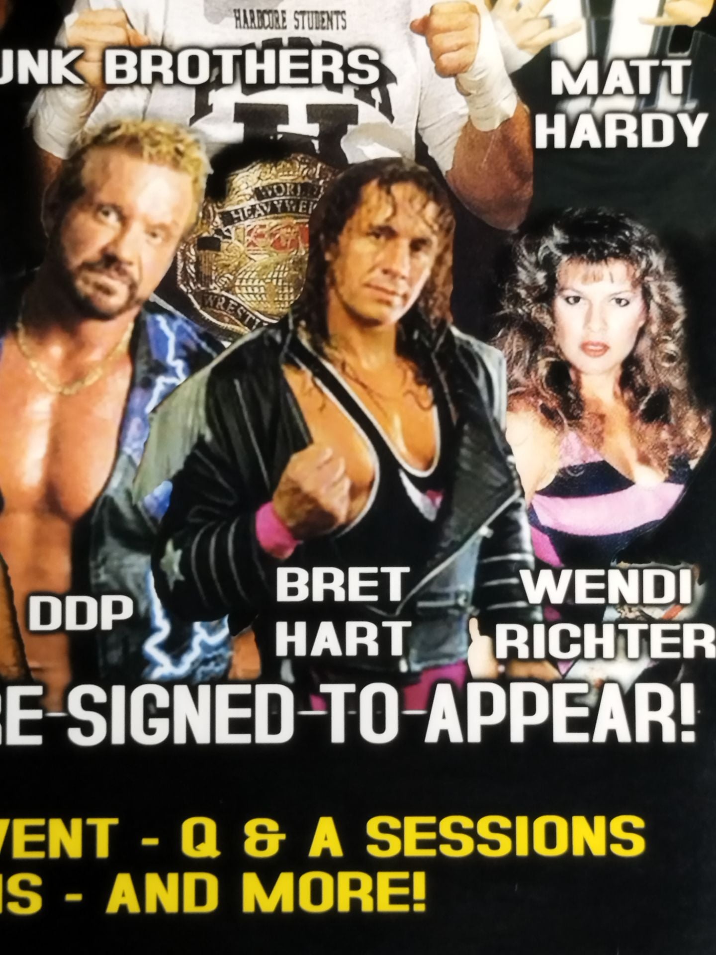 Wrestle Reunion 2