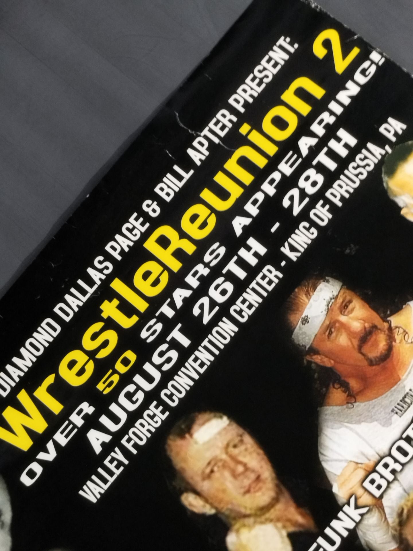 Wrestle Reunion 2