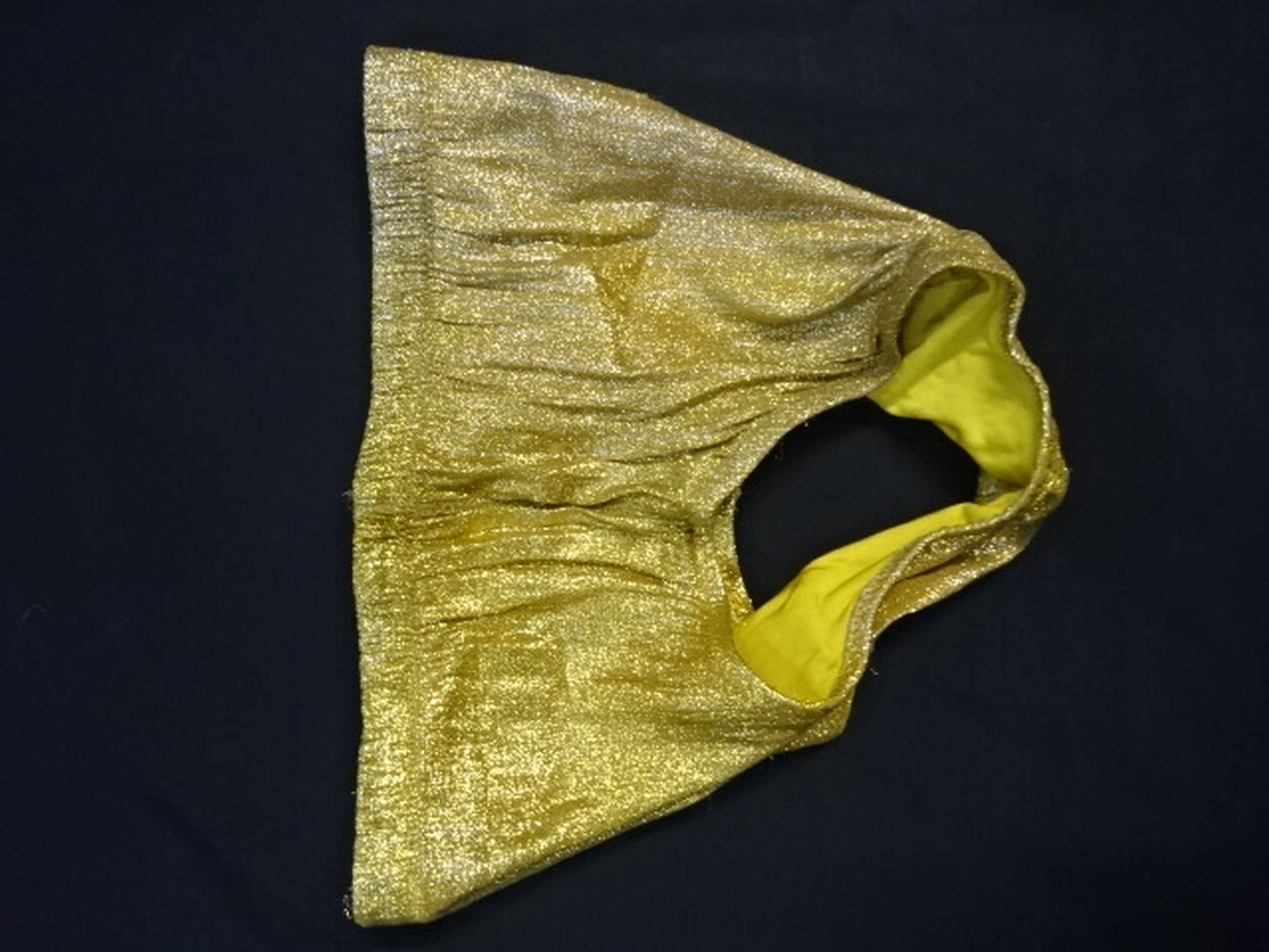 メキシコ製のプロレスショートタイツ