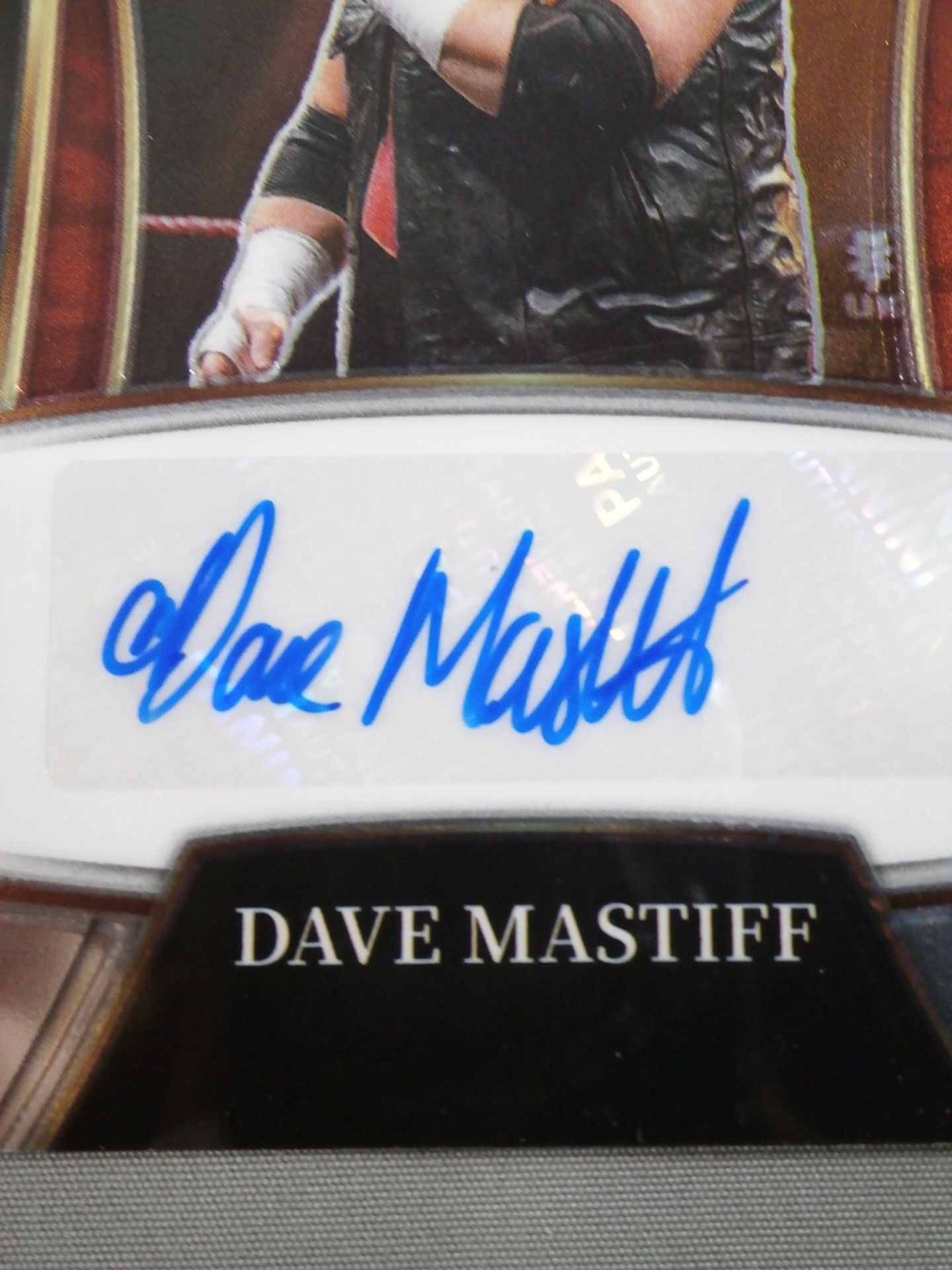2022 WWE PANINI デイブ・マスティフ 公式サインカード