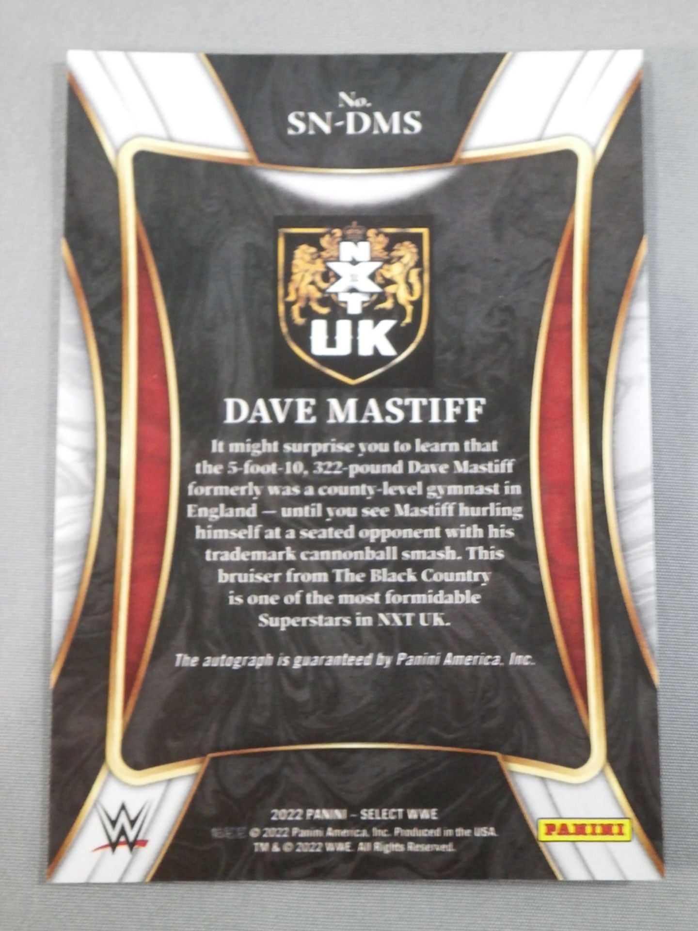 2022 WWE PANINI デイブ・マスティフ 公式サインカード