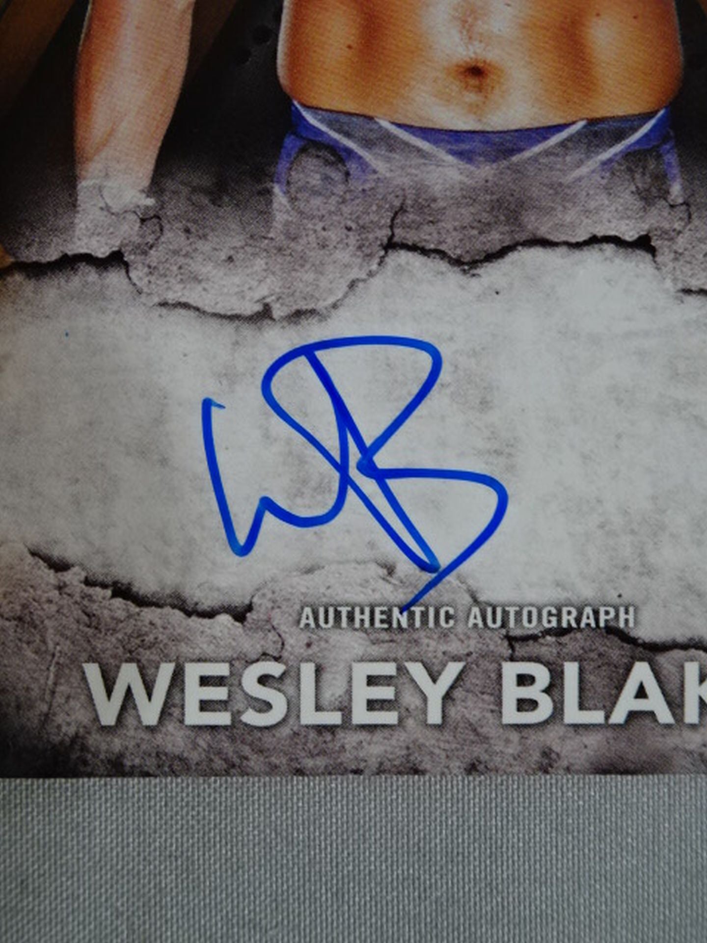 2017 topps NXT ウェスリー・ブレイク 公式サインカード