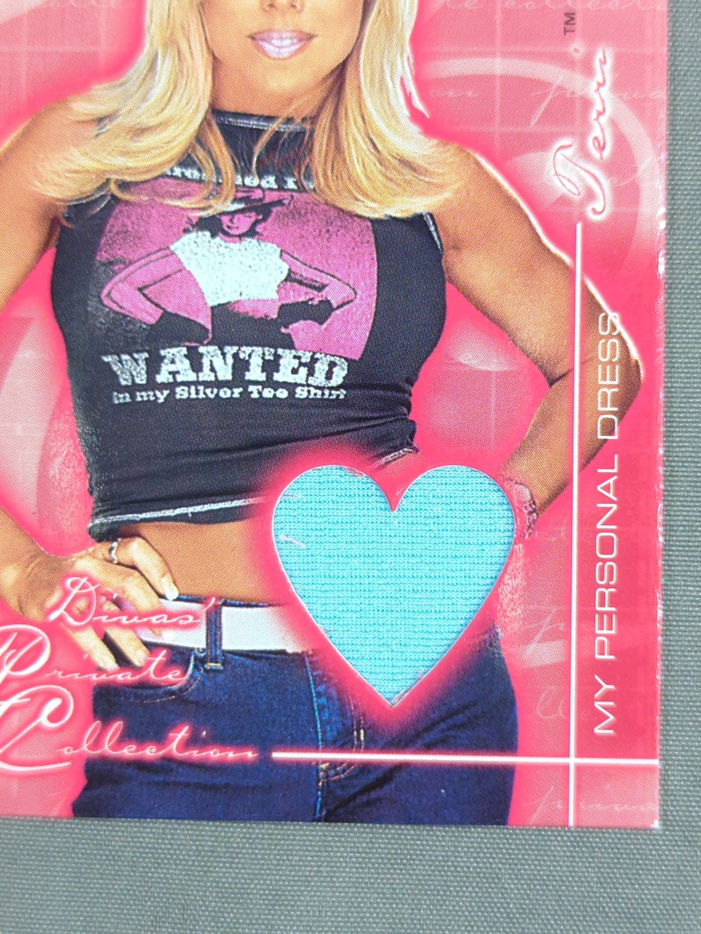 2001 WWE FLEER Terry Official Relic Card (Costume)
