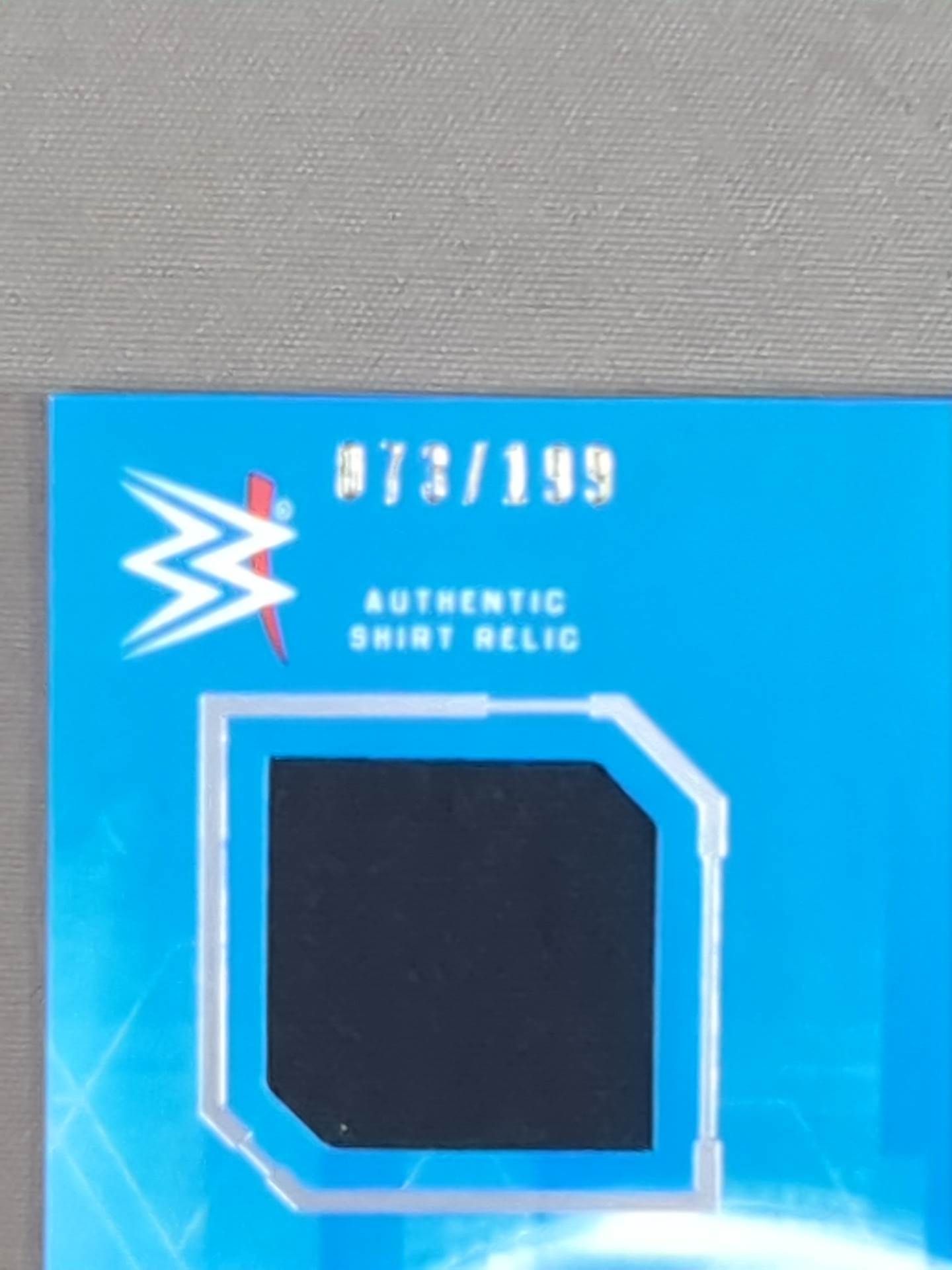 2017 WWE topps サマー・レイ 公式レリックカード(コスチューム)
