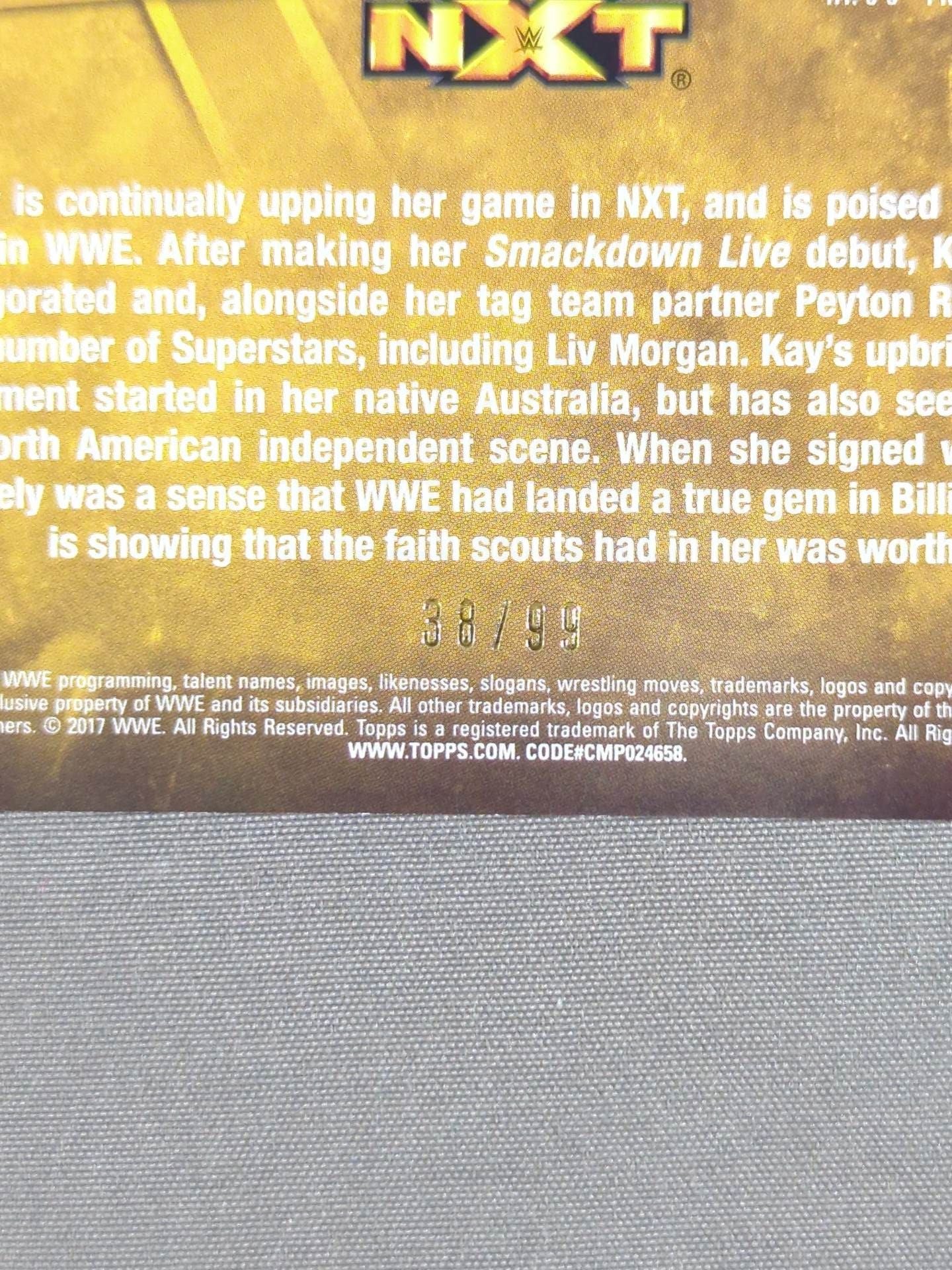 2017 NXT topps ビリー・ケイ 公式サインカード