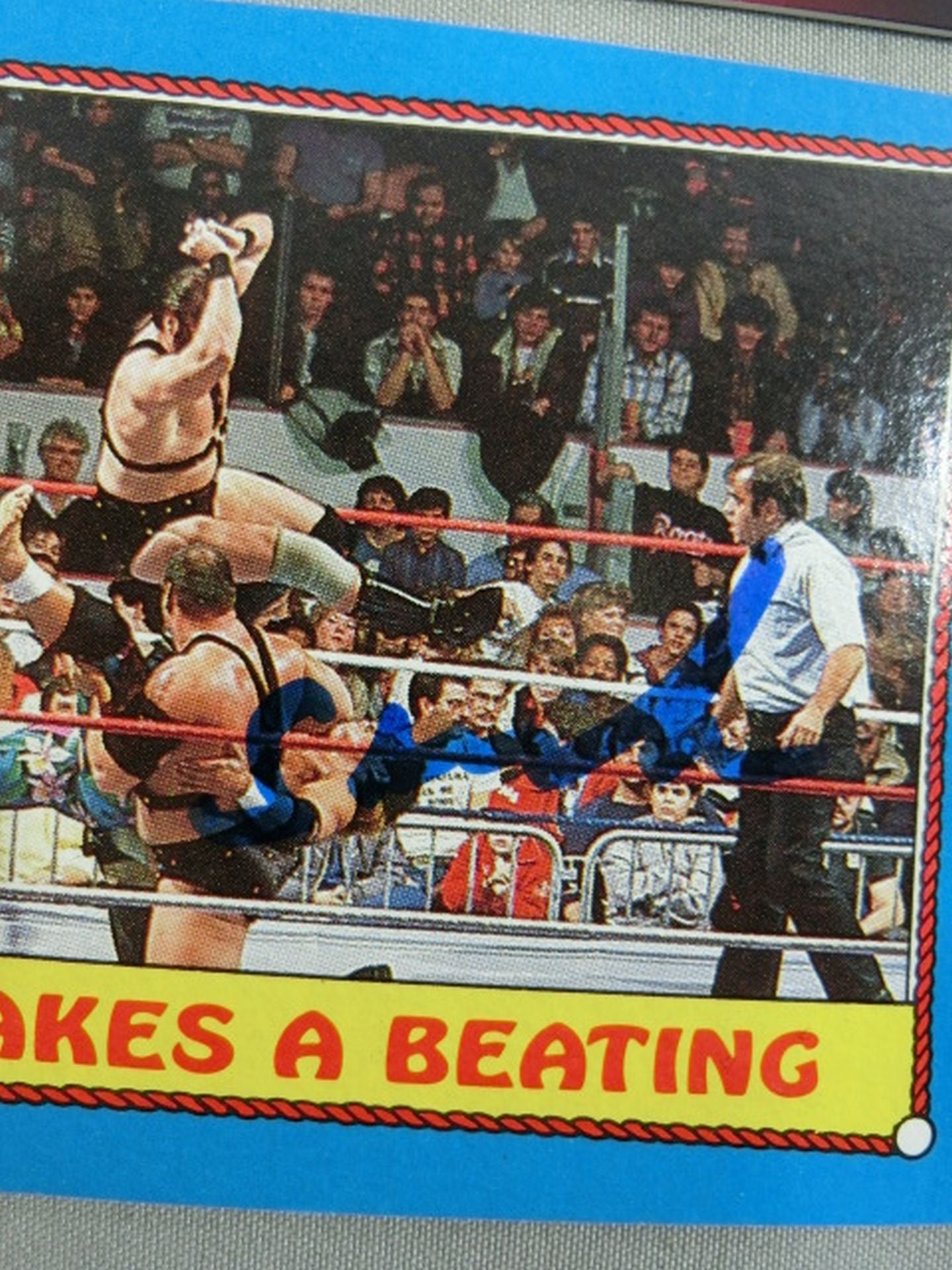 ★2017 LEAF Buyback Wrestling★ Demolition Official autographed card