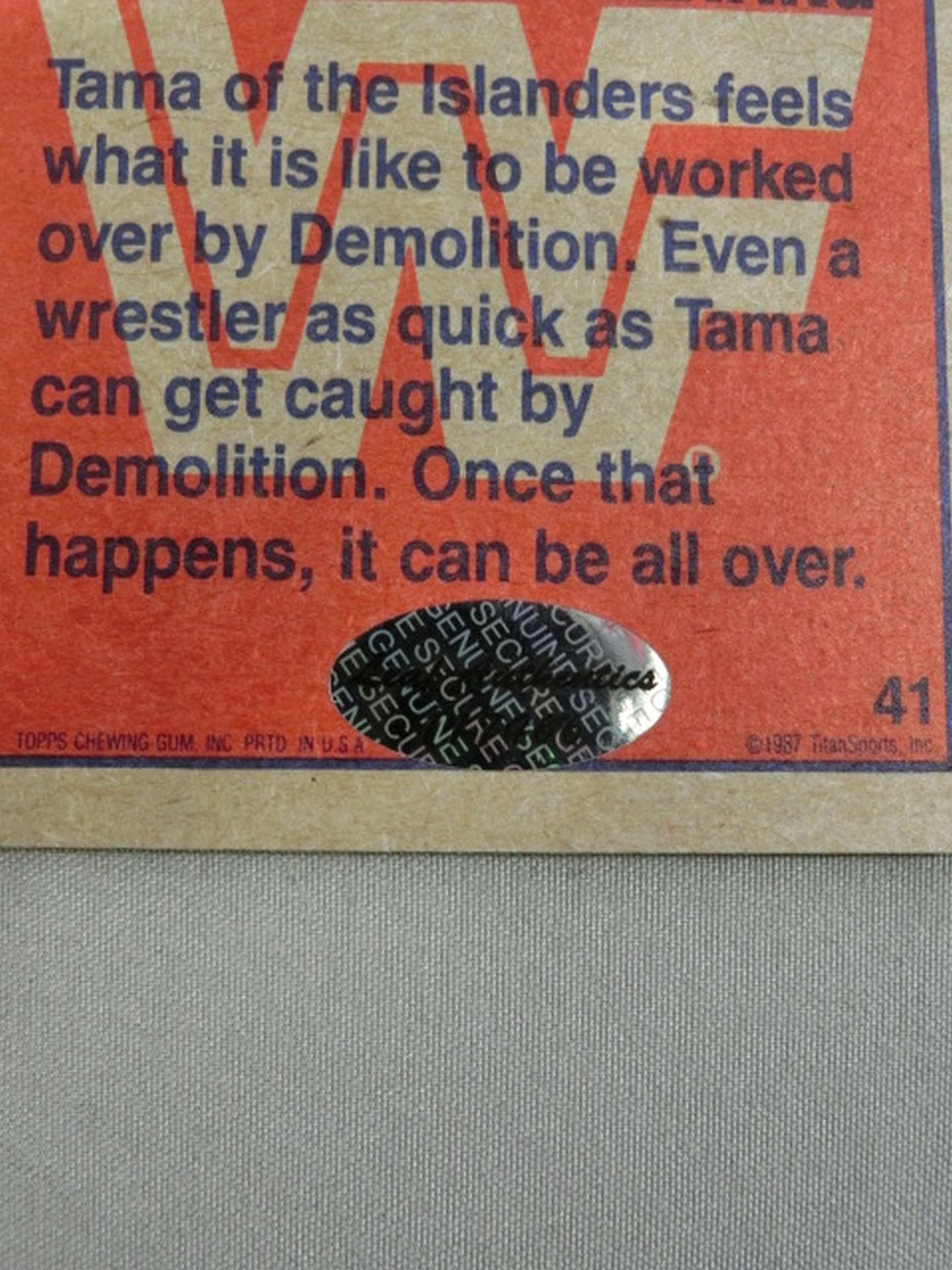 ★2017 LEAF Buyback Wrestling★ Demolition Official autographed card