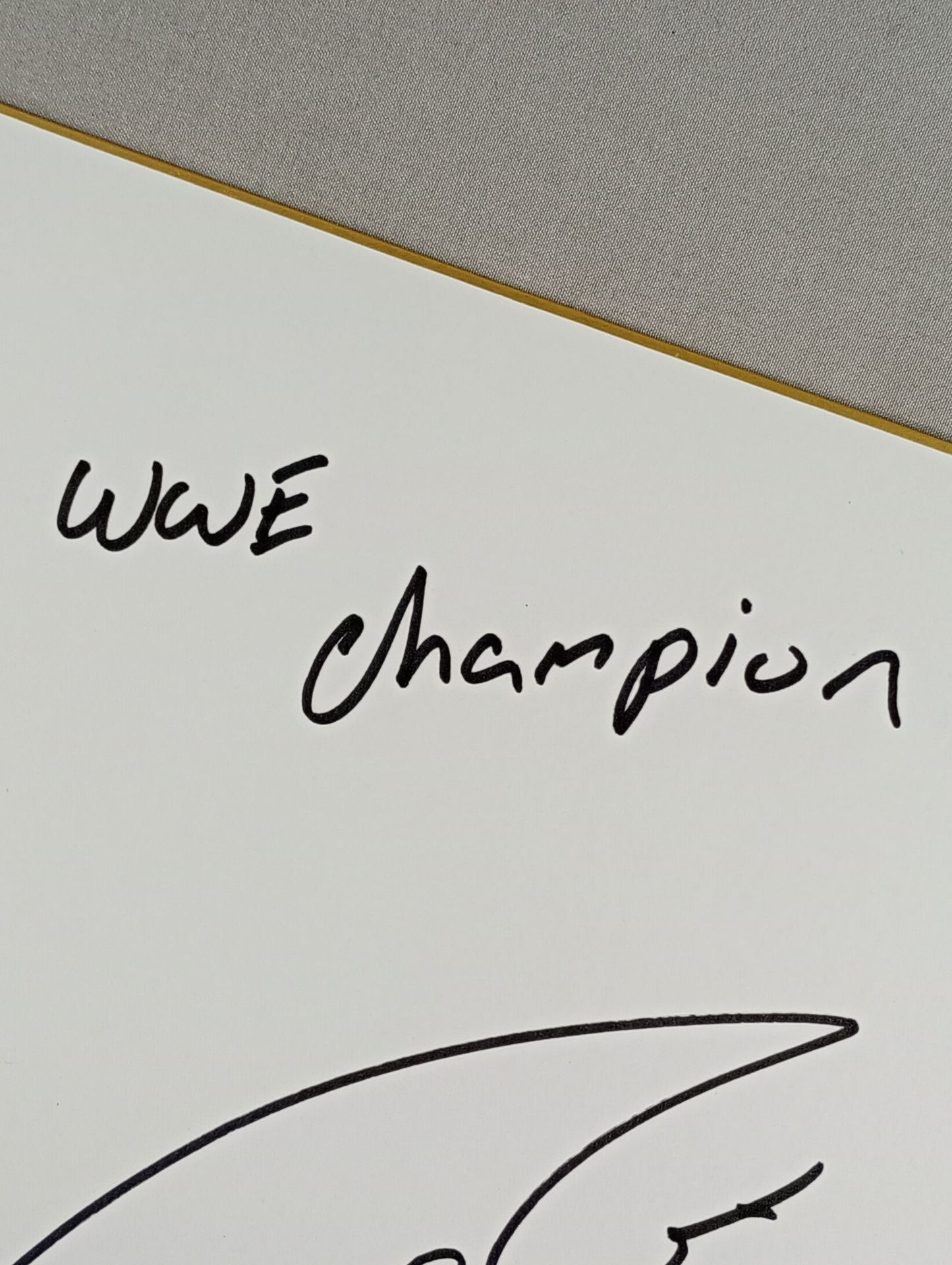Alberto Del Rio