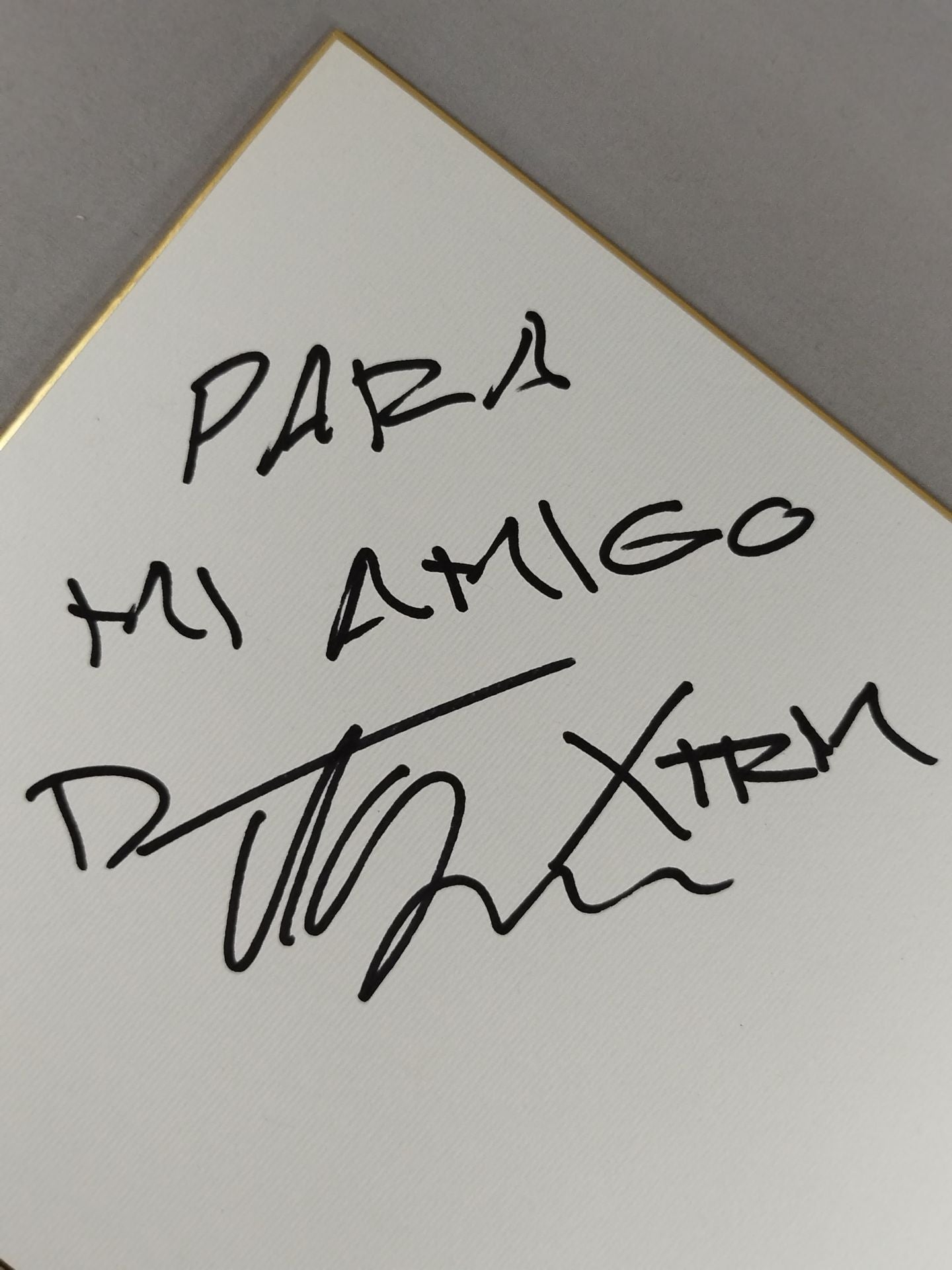 エクストリーム・タイガー