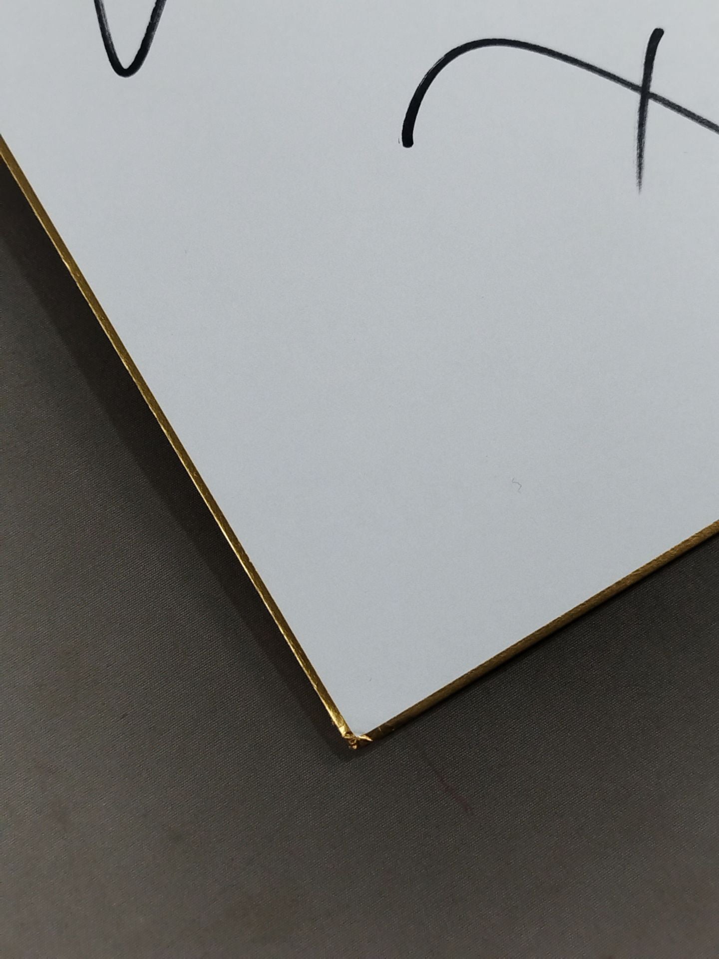 ガブリエル・アントニック