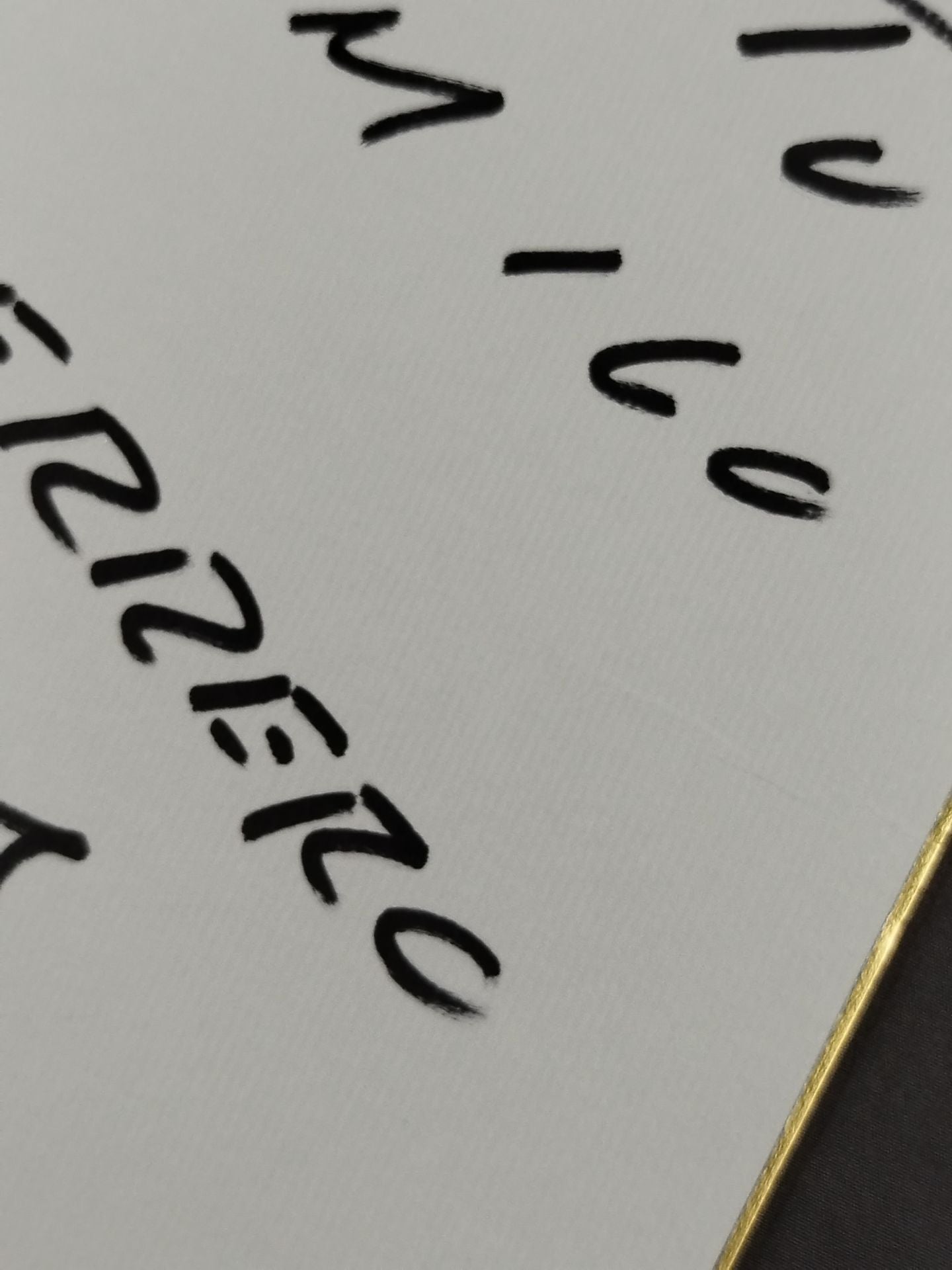 ゲレーロ・マヤ・ジュニア