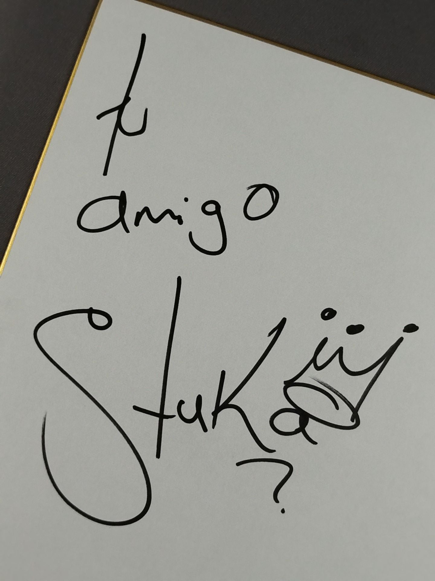 ストゥーカ・ジュニア