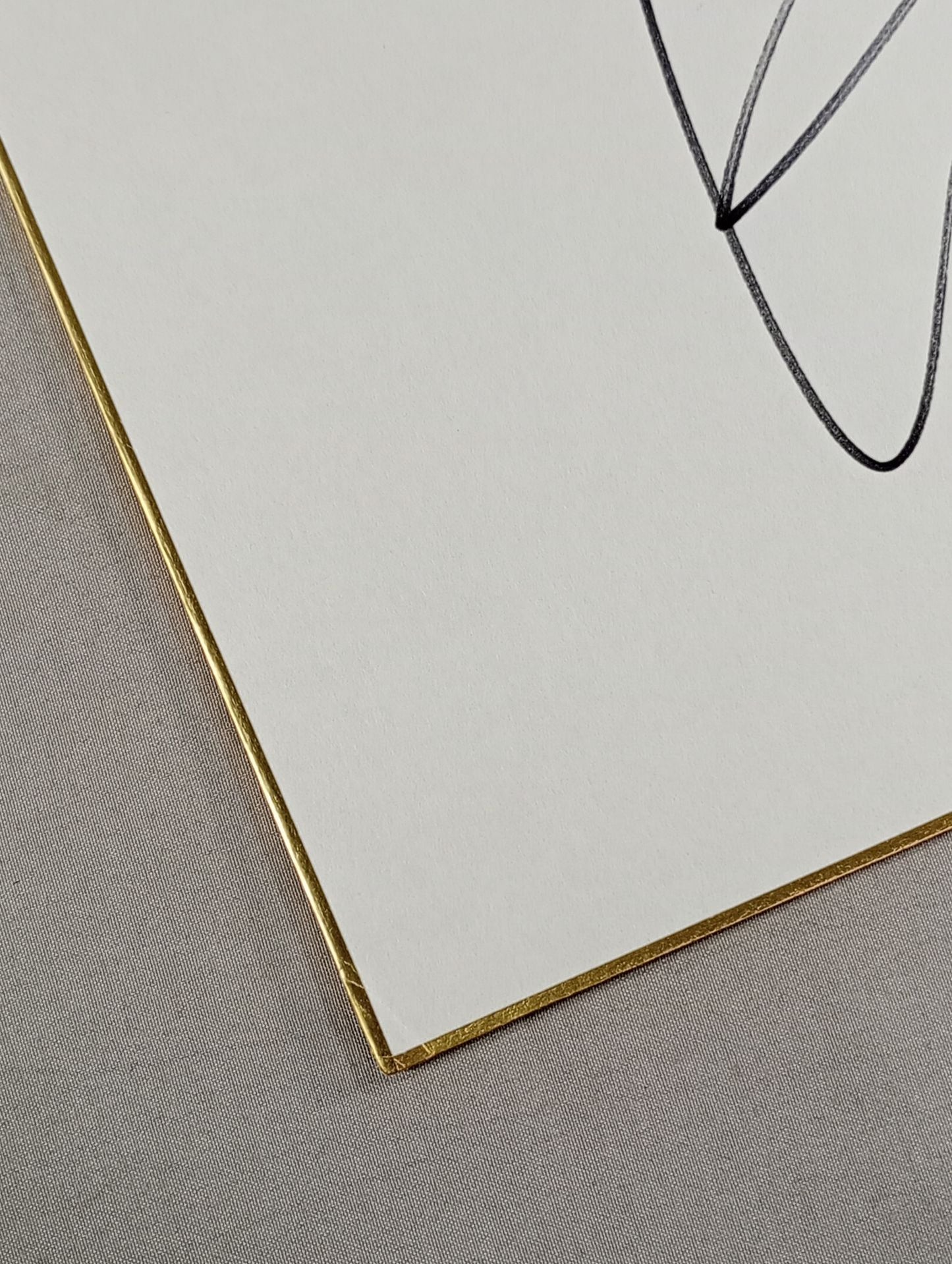 Jay Lethal (Lion Mark Shikishi ( Autograph board ) )