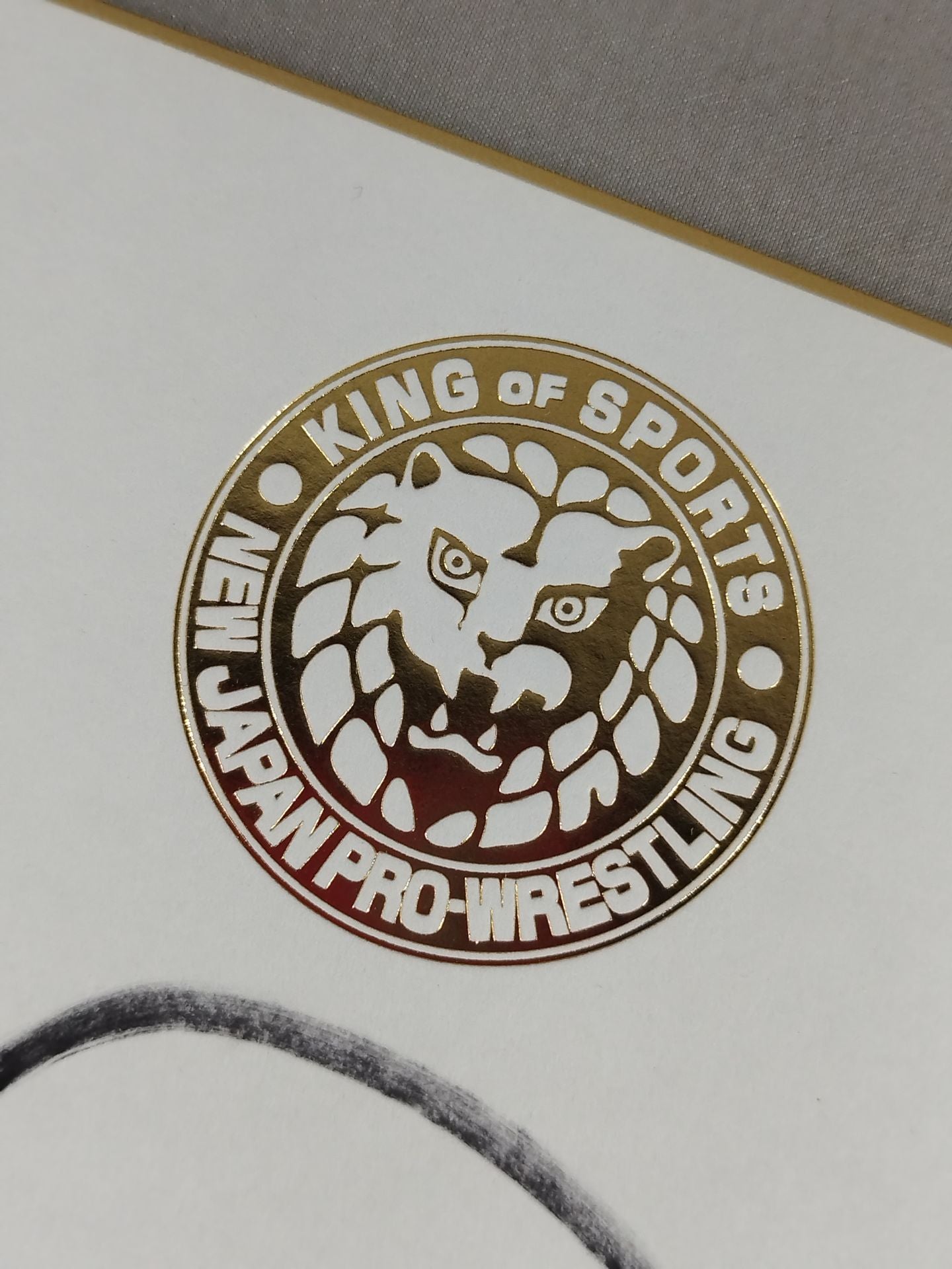 Juice Robinson (Lion Mark Shikishi ( Autograph board ) )