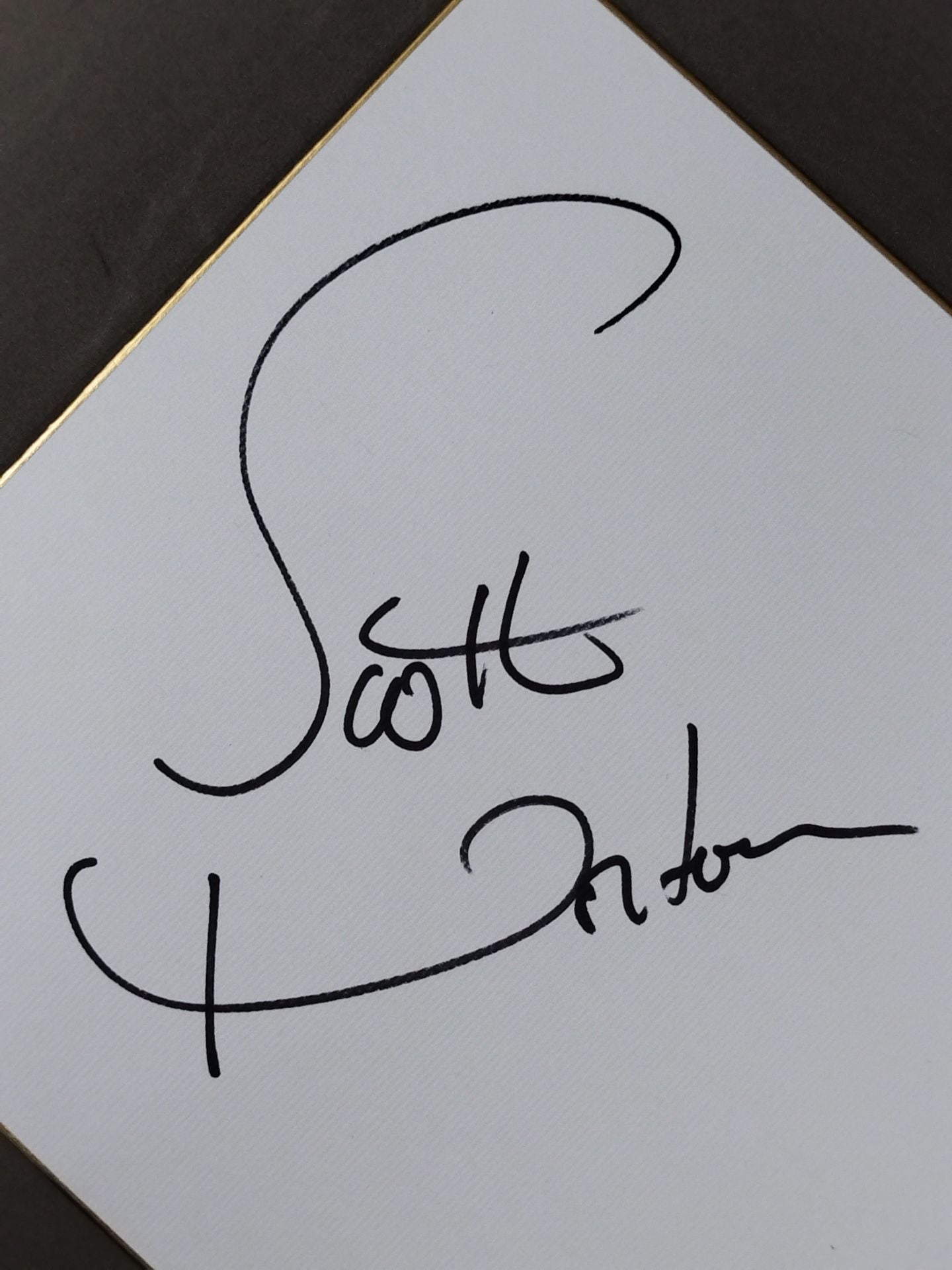 Scott Norton
