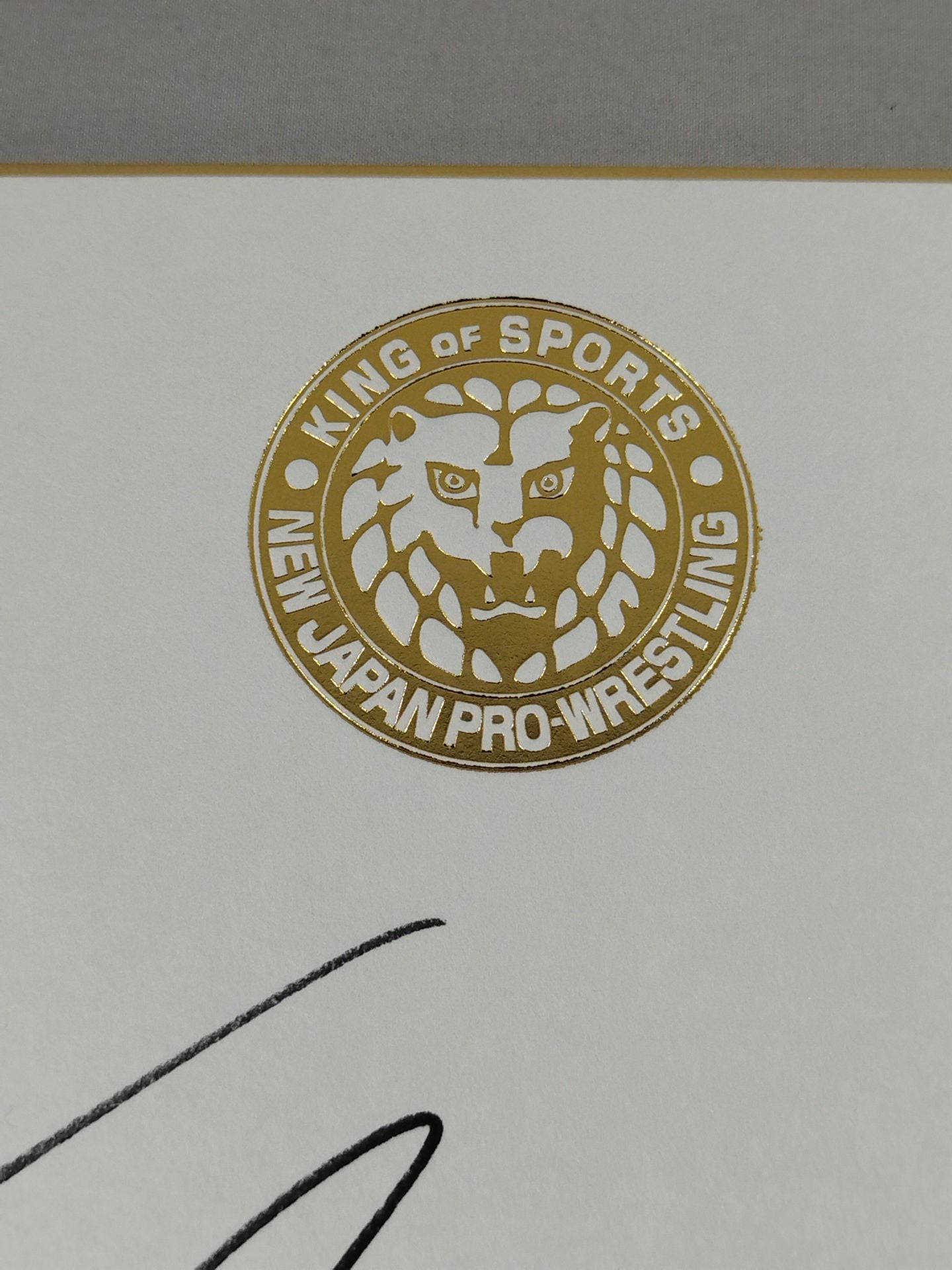 Cheeseburger (Lion Mark Shikishi ( Autograph board ) )