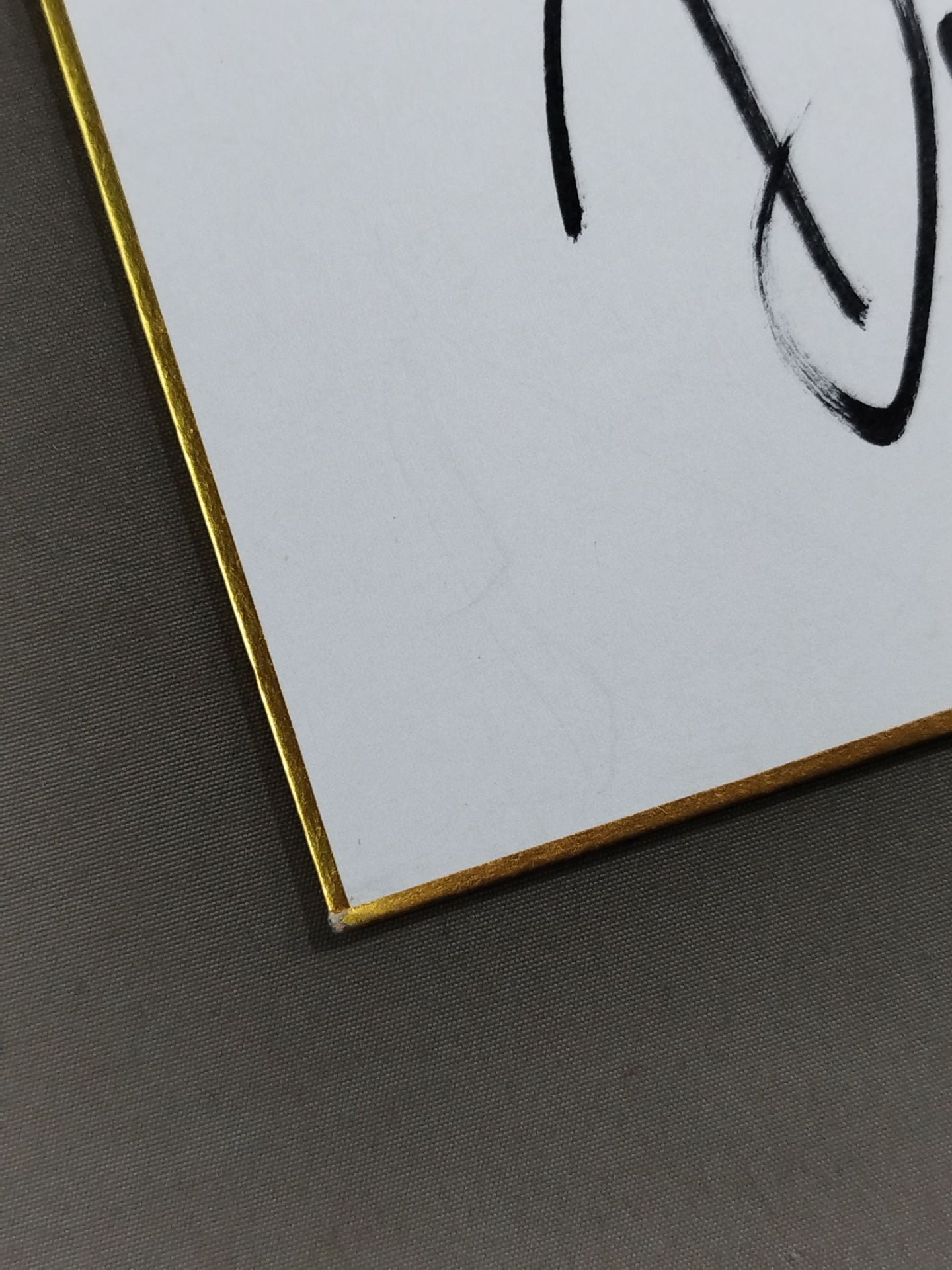 Davey Boy Smith, Jr.