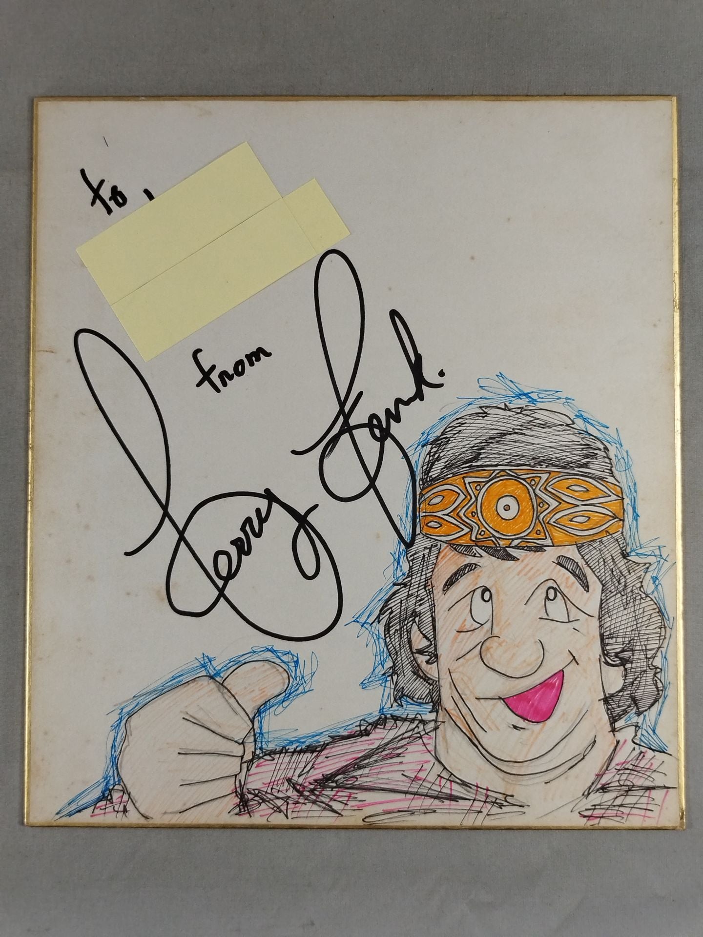 Terry Funk