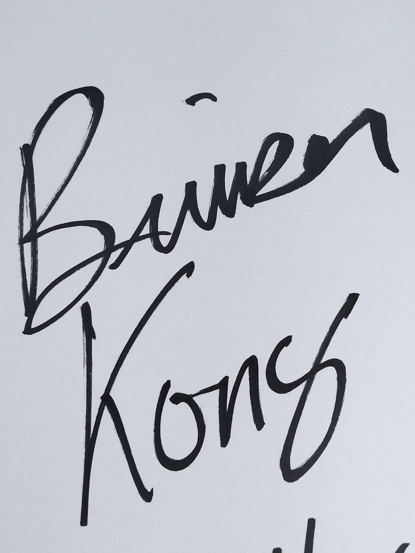 Bruiser Kong