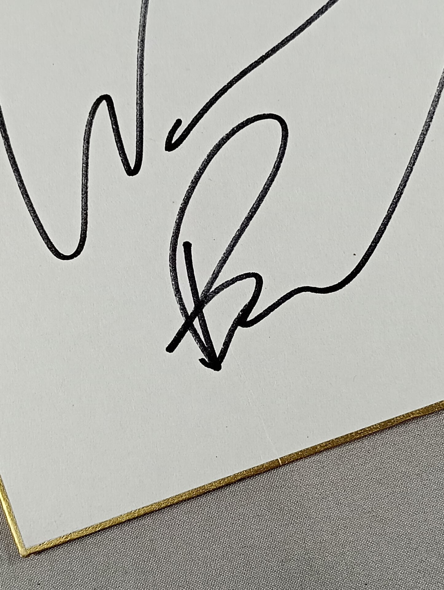 War Machine (Raymond Lowe & Hanson) & Jay Lethal (Lion Mark ) Shikishi ( Autograph board ) )
