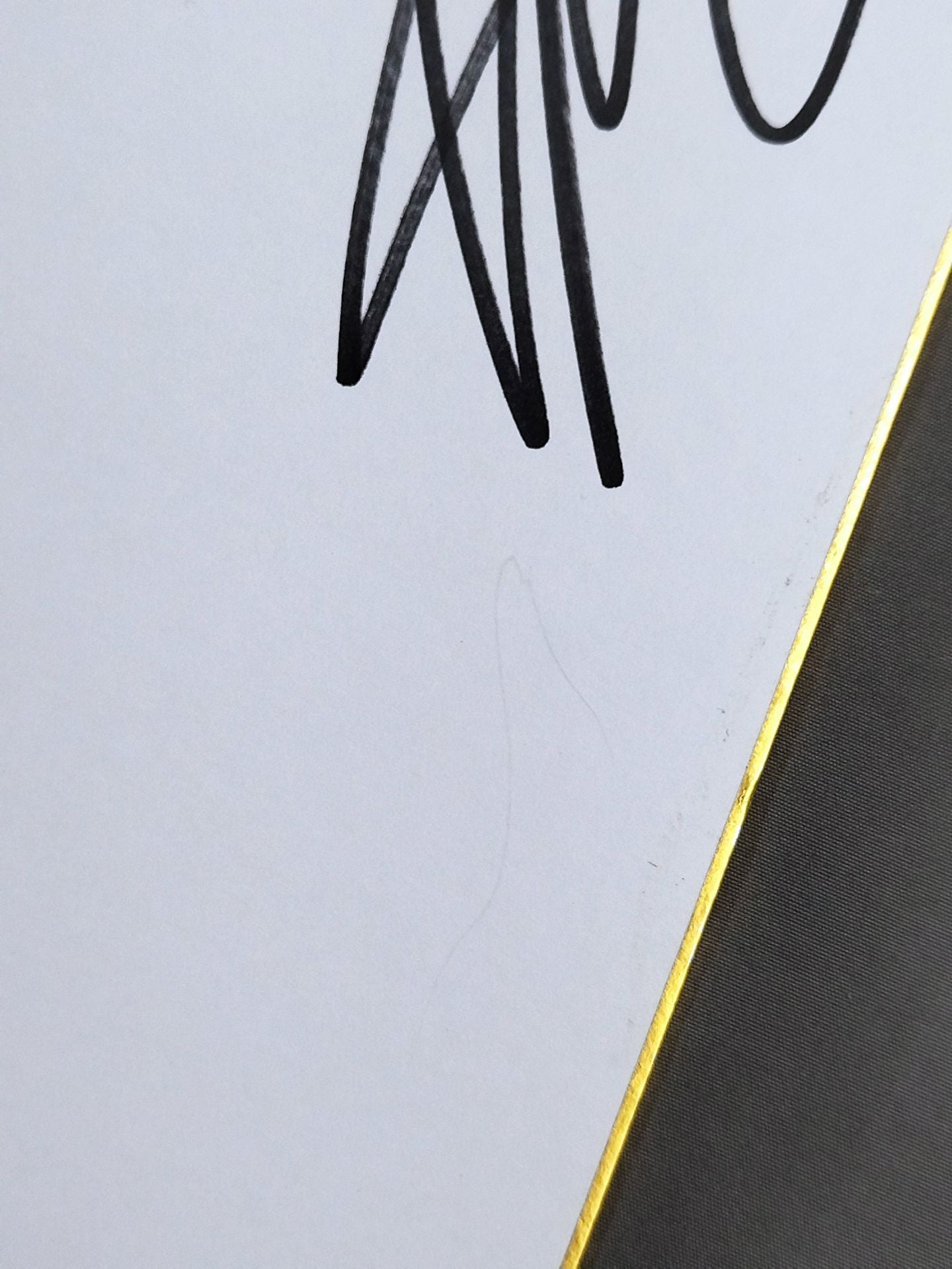 サイラス・ヤング&ジェイ・リーサル