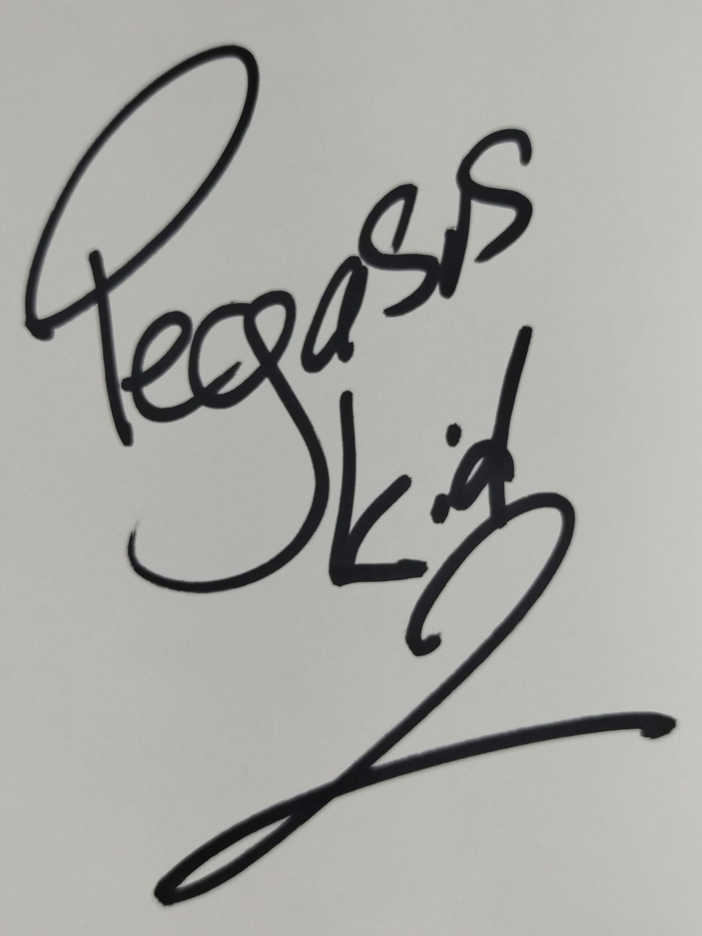 プリンス・デヴィット&ペガサス・キッド(2代目)