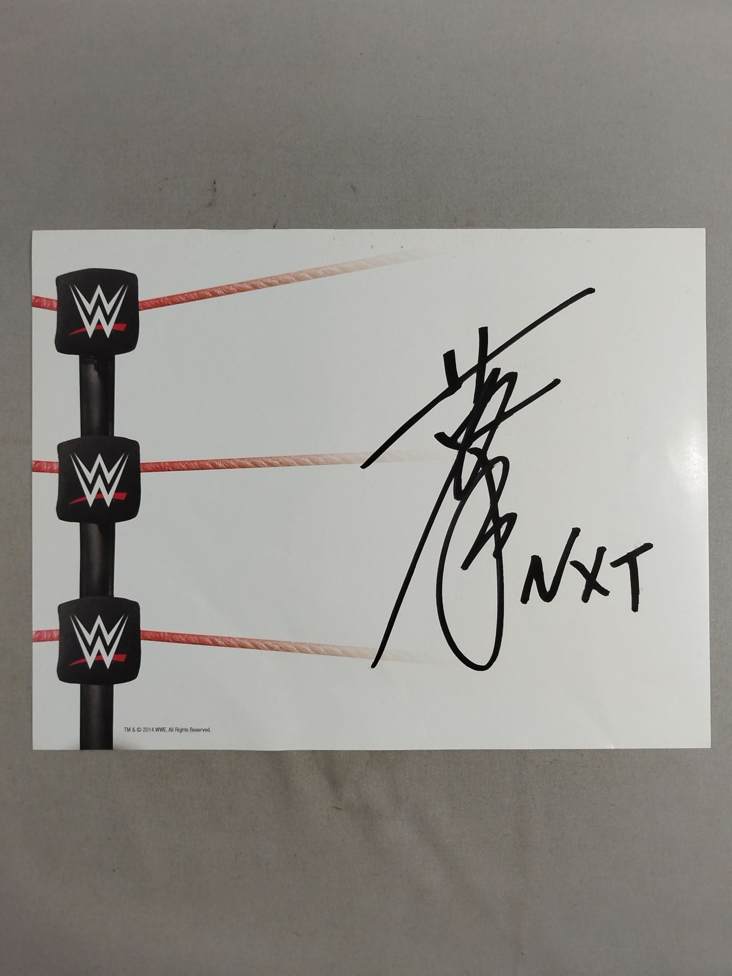 Hideo Itami (WWE paper)