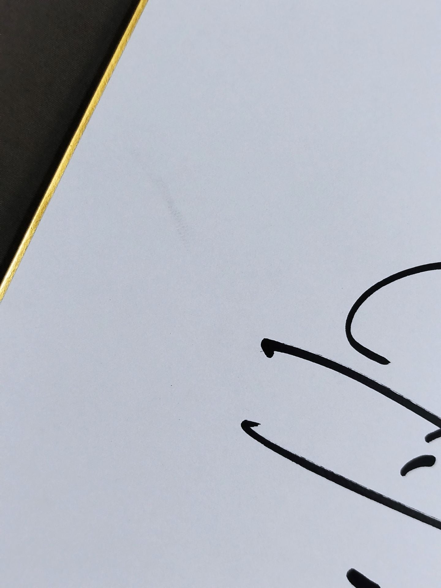 レネ・ボナパルト(レネ・デュプリ)