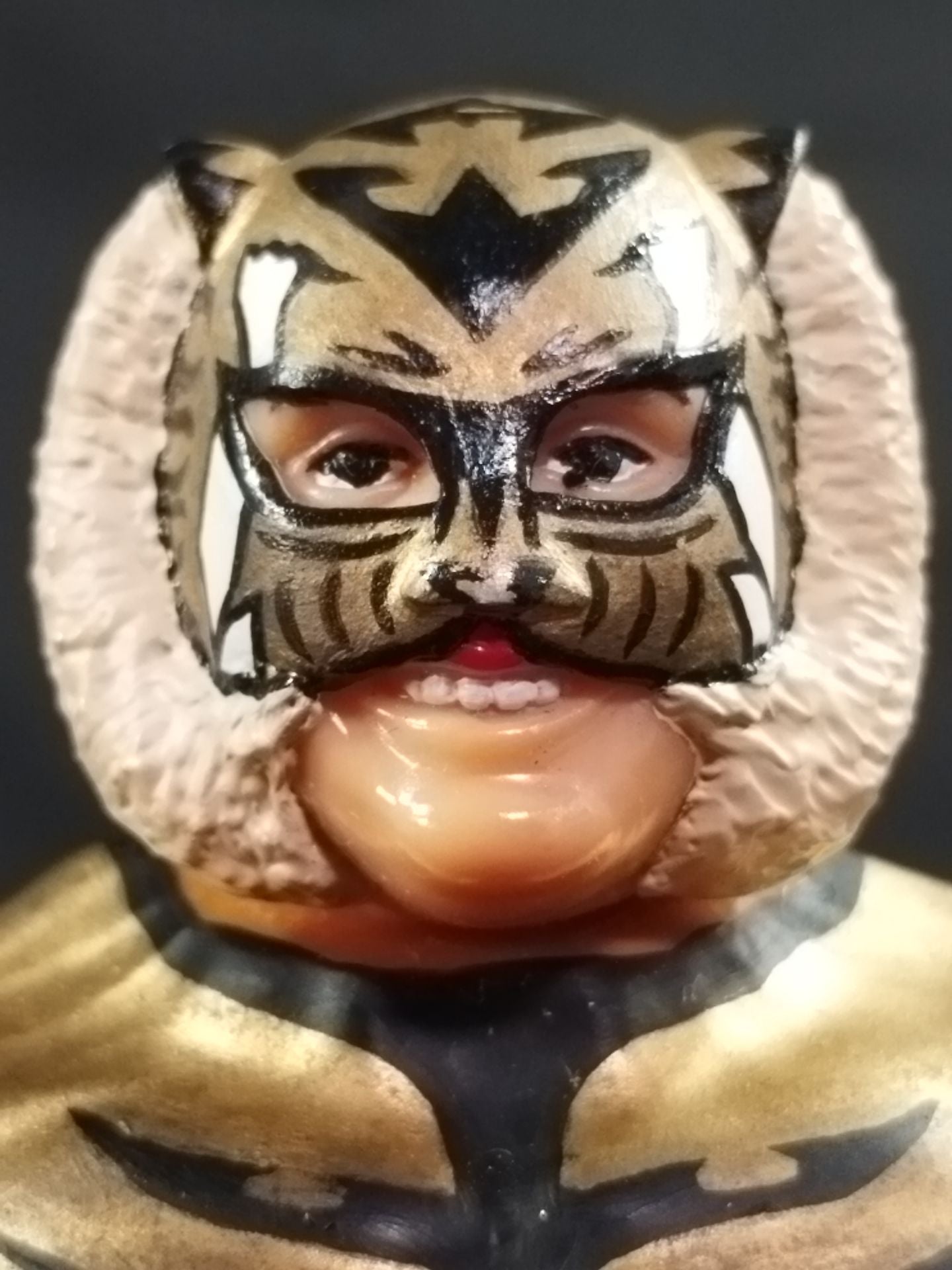 タイガーキング(2戦目仕様)