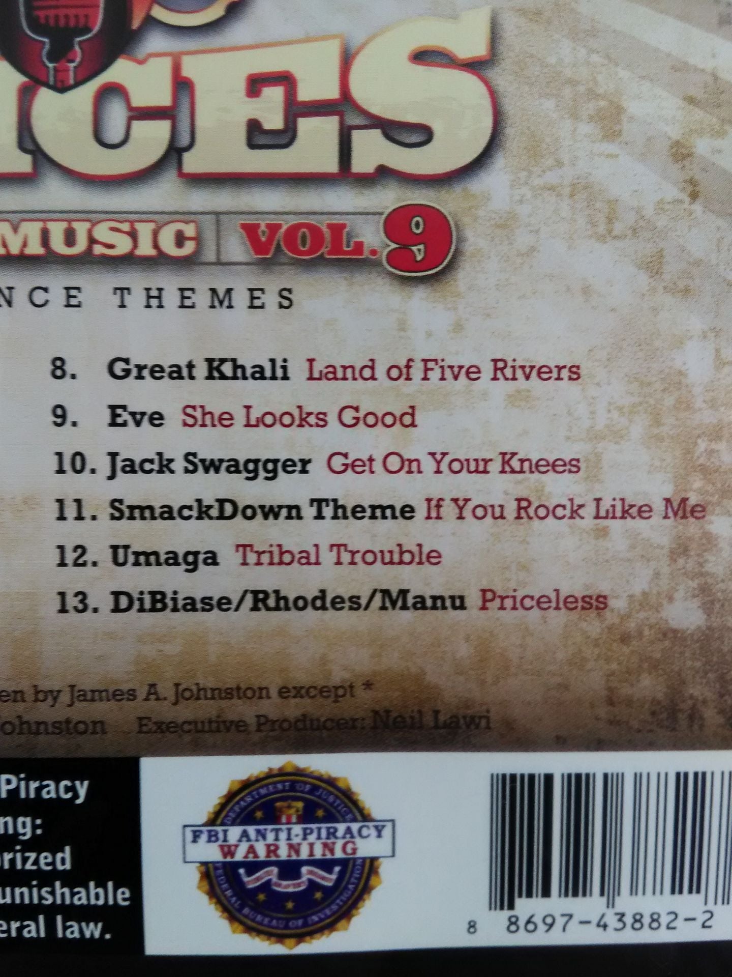 WWE THE MUSIC VOL.9 / VOICES (Input Disc)