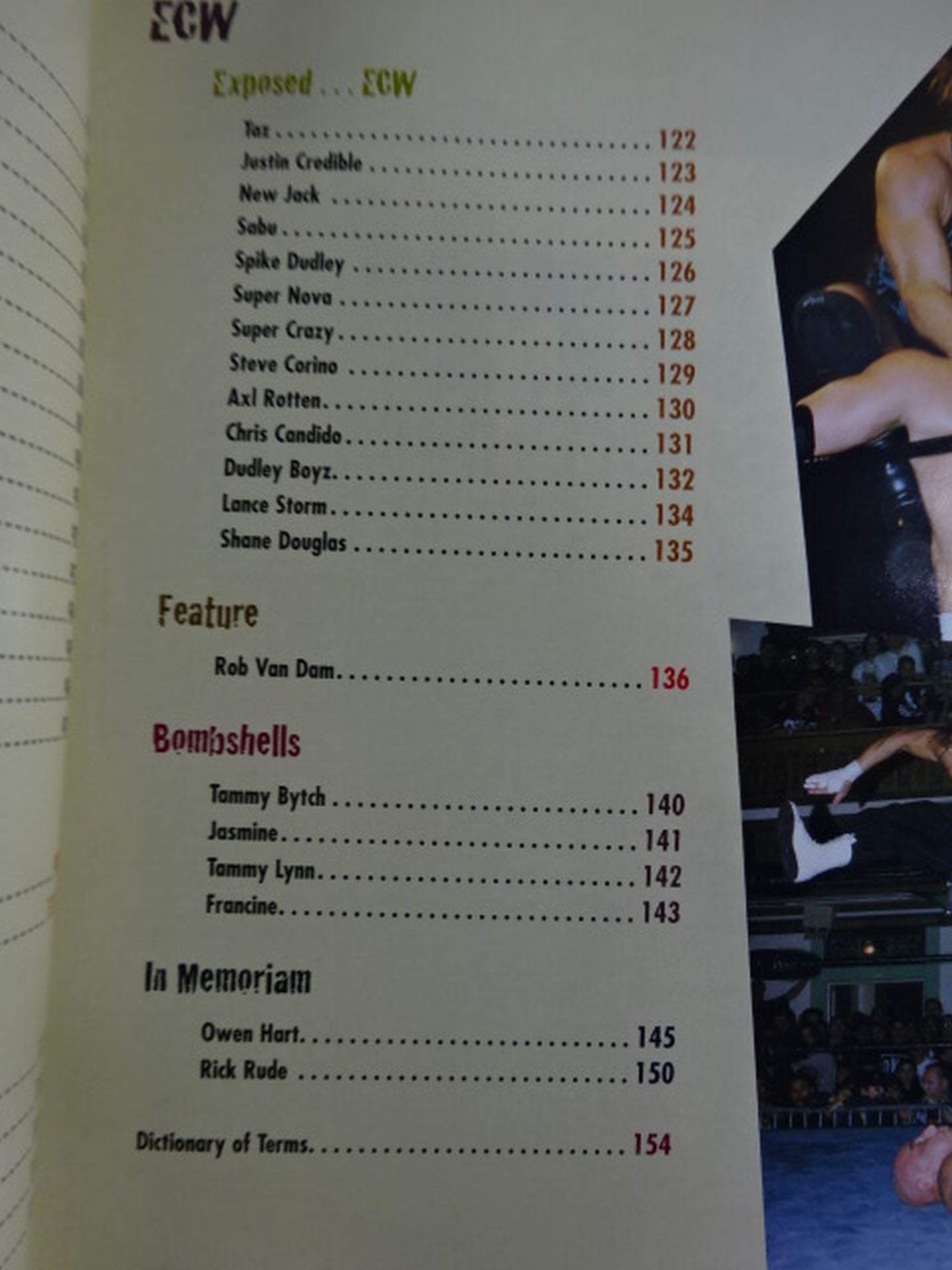 WOW WORLD OF Wrestling THE OFFICIAL FAN'S GIIDE