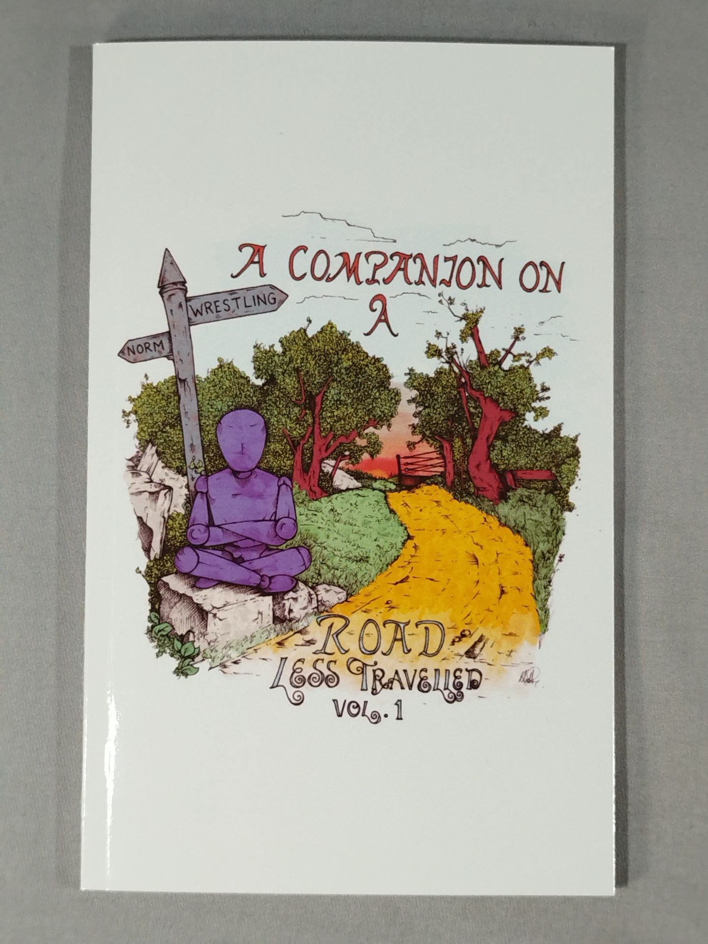 A Companion on a Road Less Travelled