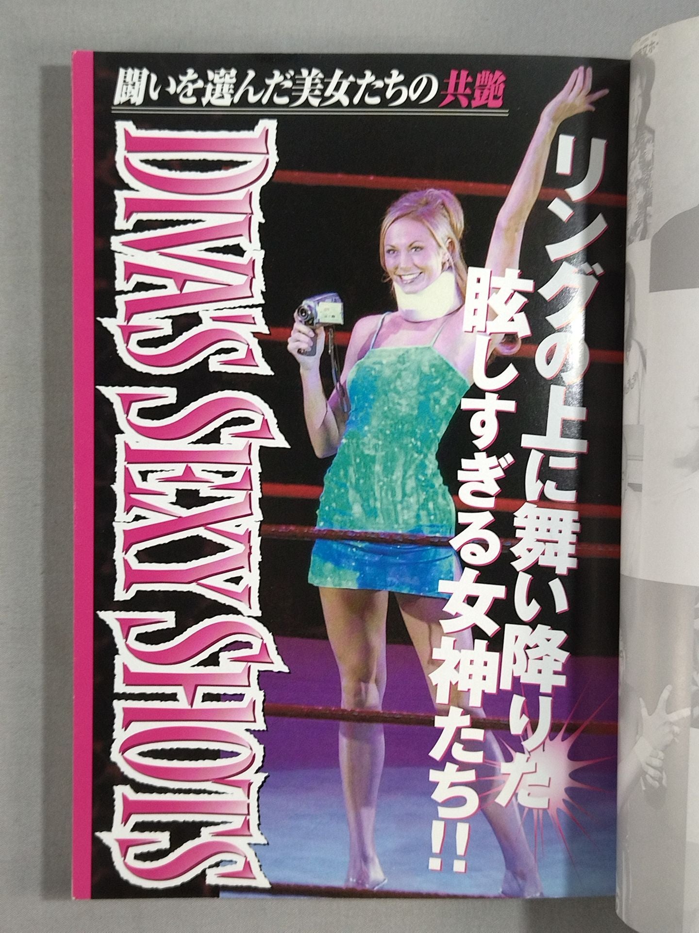 目撃!アメリカンプロレス