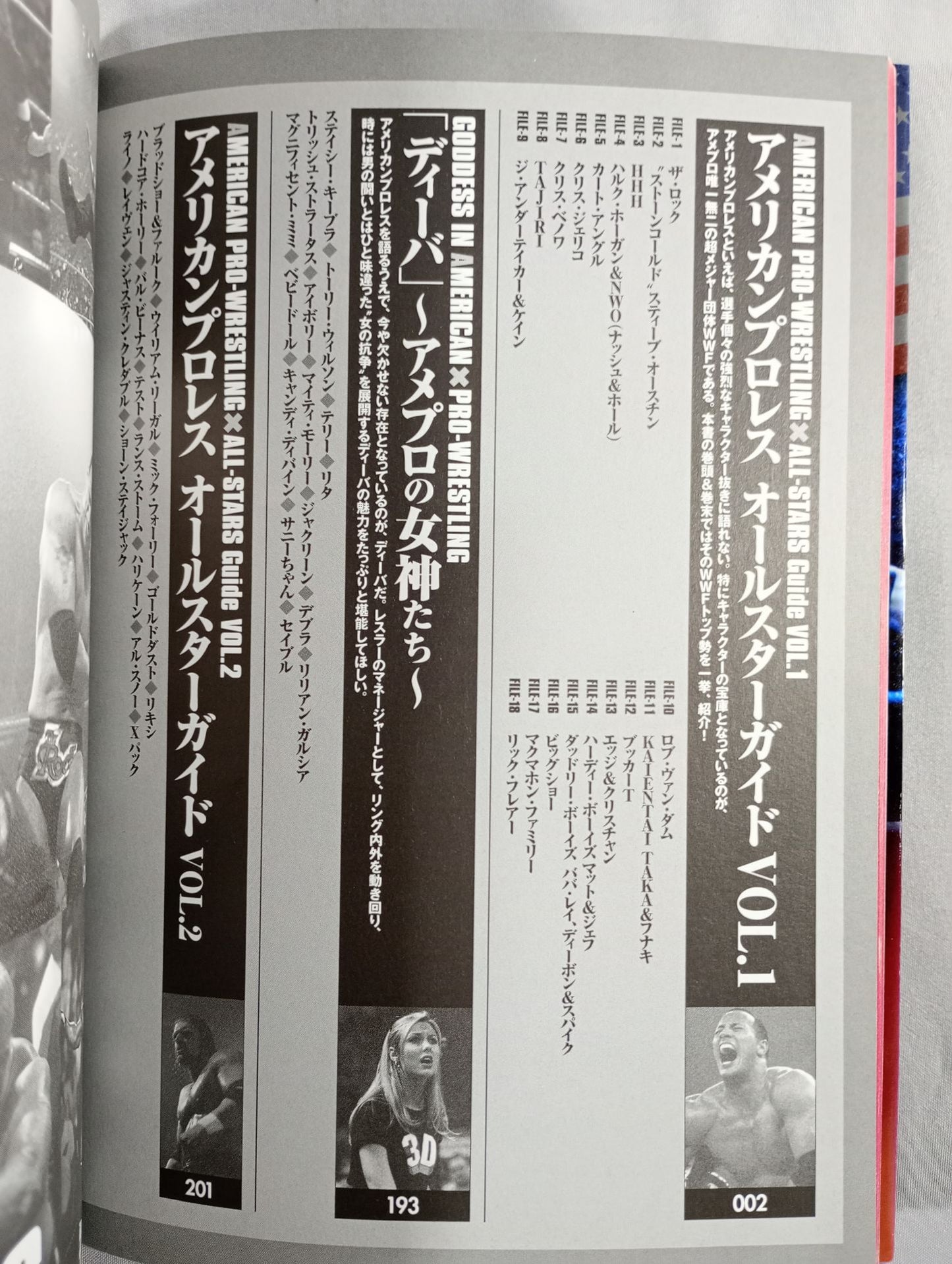 まるごとわかる アメリカンプロレス