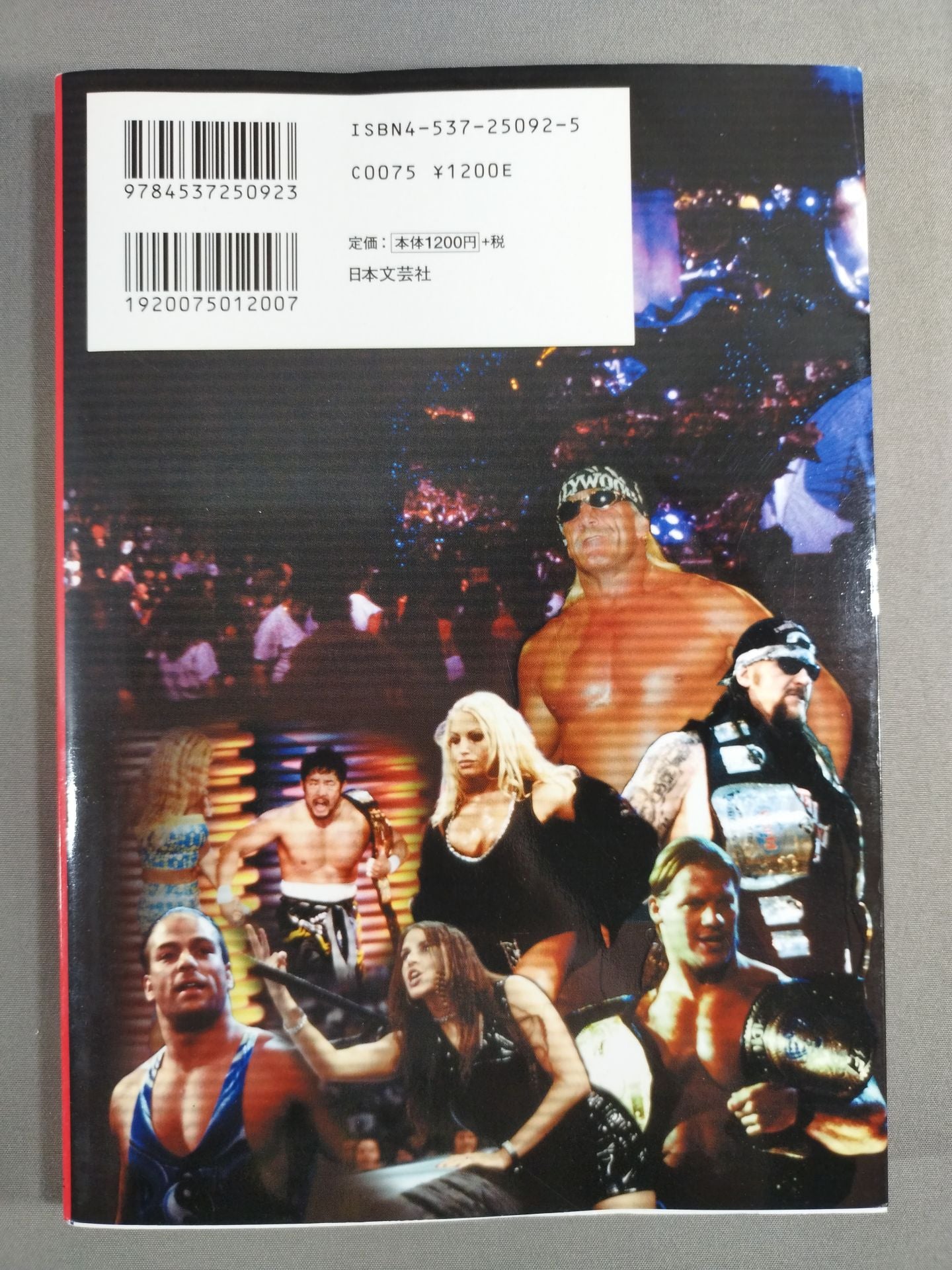 まるごとわかる アメリカンプロレス