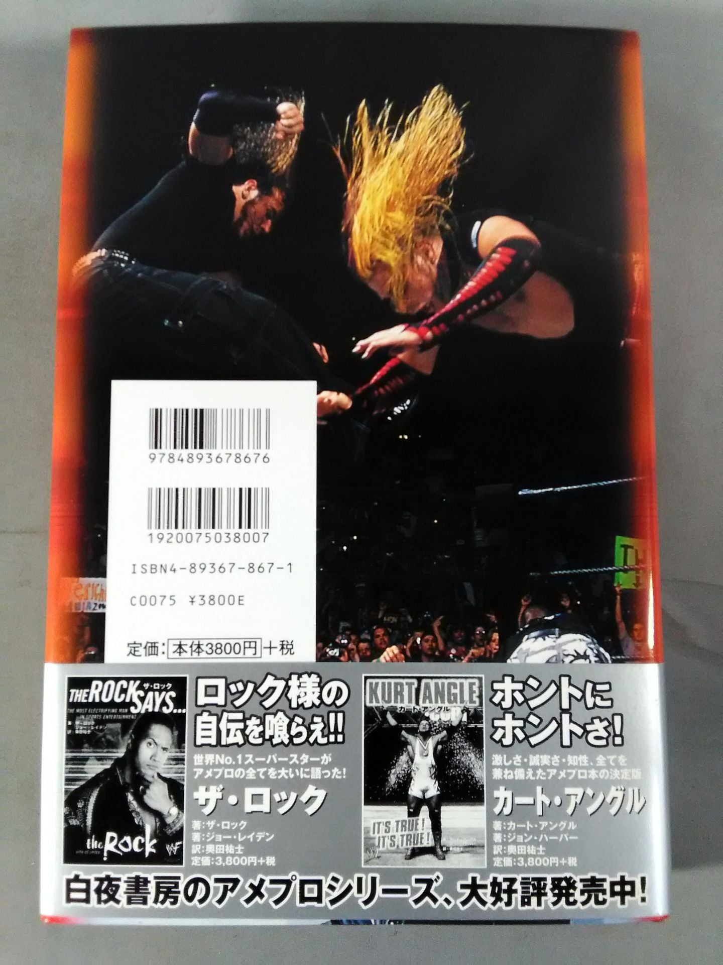 ザ・ハーディ・ボーイズ自伝 THE HARDY BOYZ EXIST 2 INSPIRE