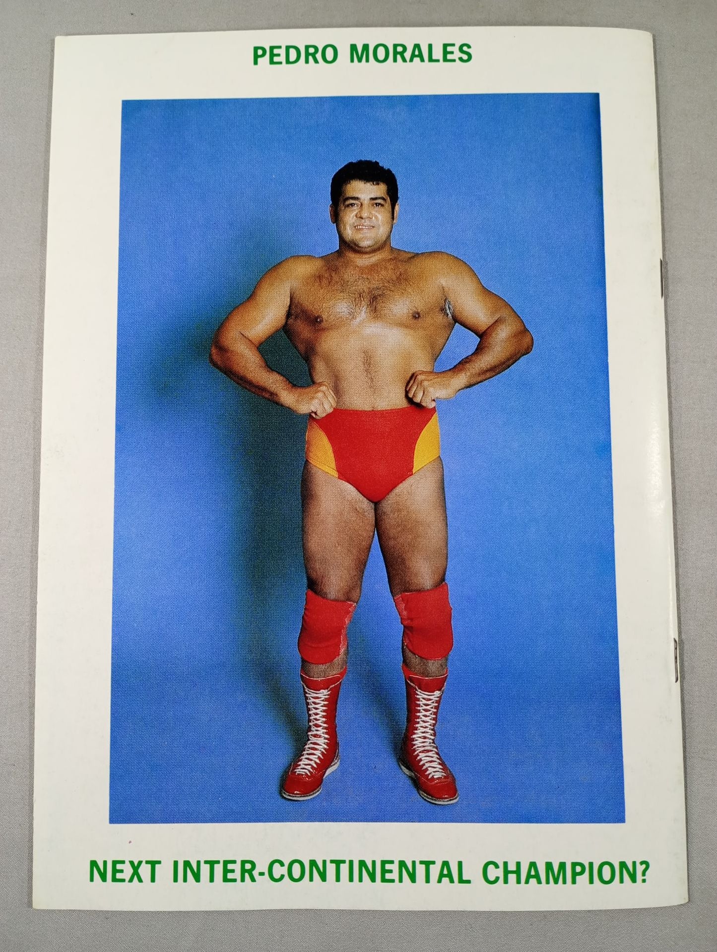 ★WWFヘビー級選手権試合★ ボブ・バックランドvsサージェント・スローター